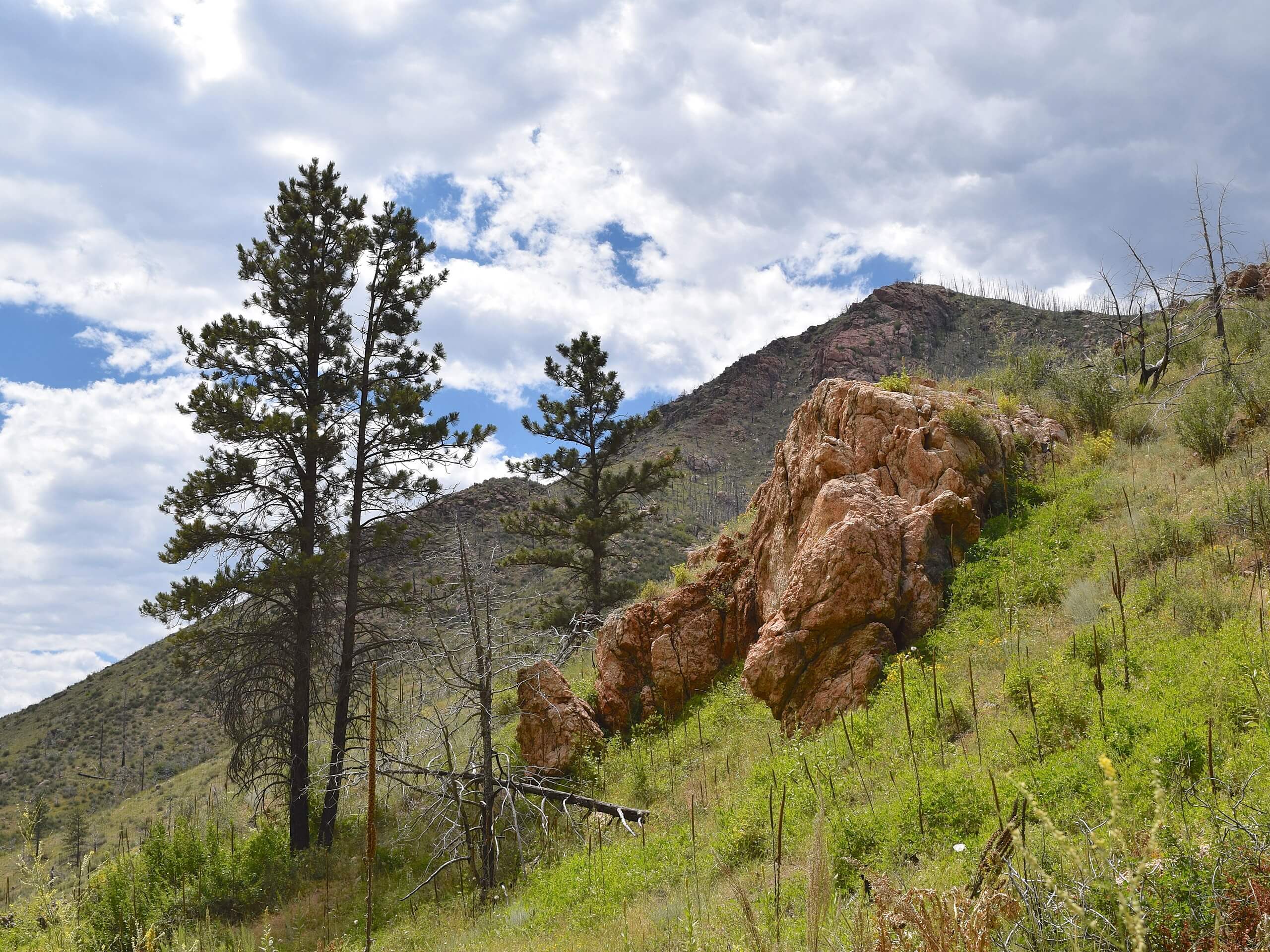 Hewlett Gulch Trail