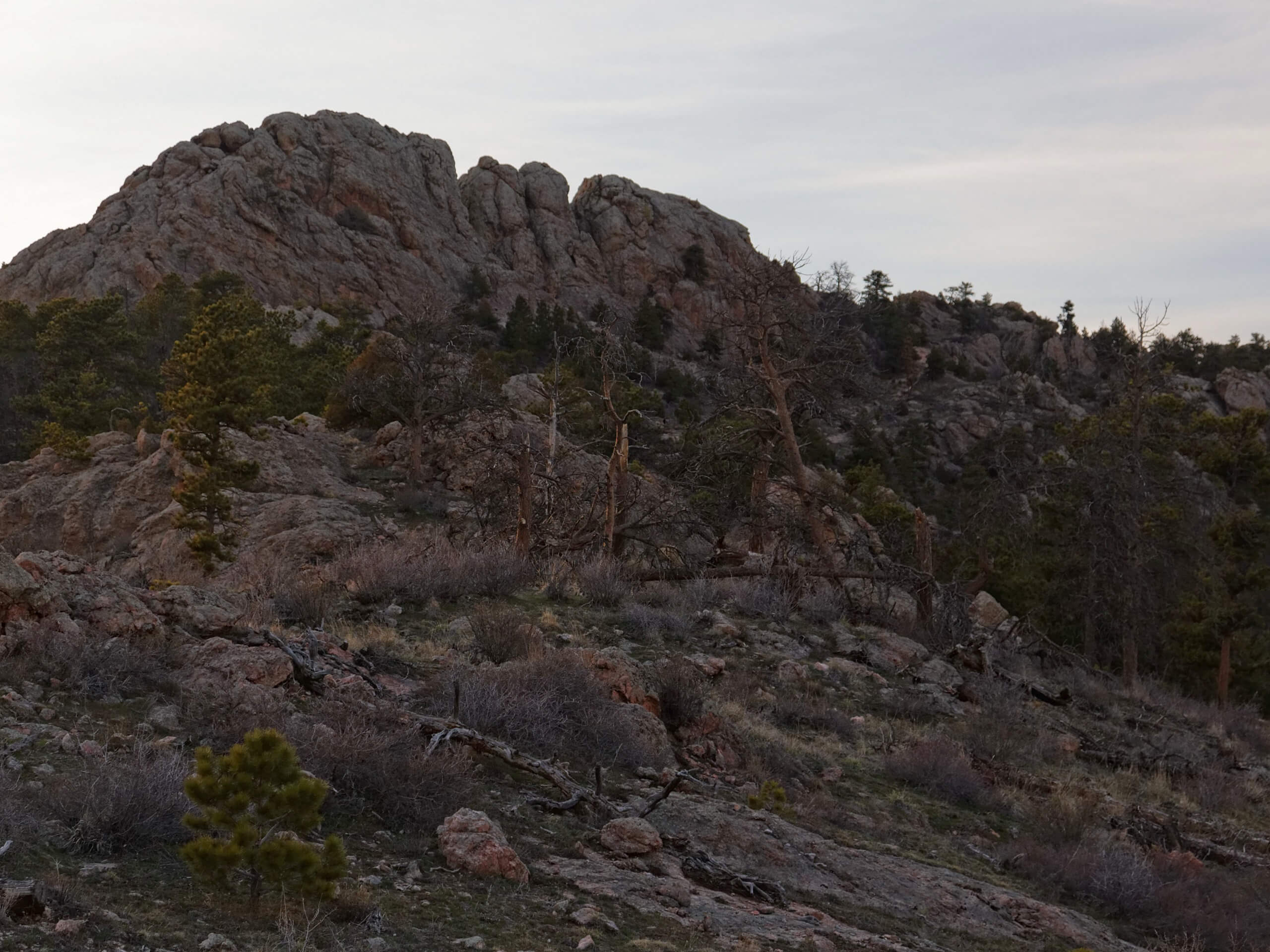 Horsetooth Rock via Wathan Trail