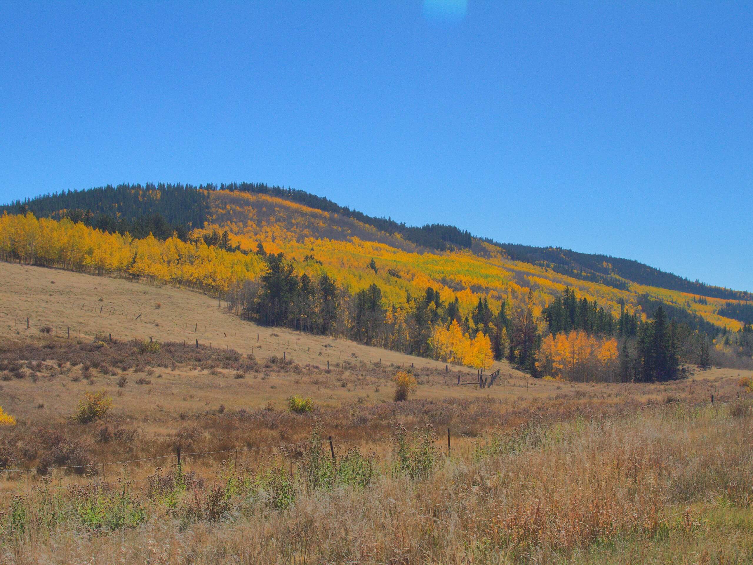 Kenosha Pass to Georgia Pass via the Colorado Trail