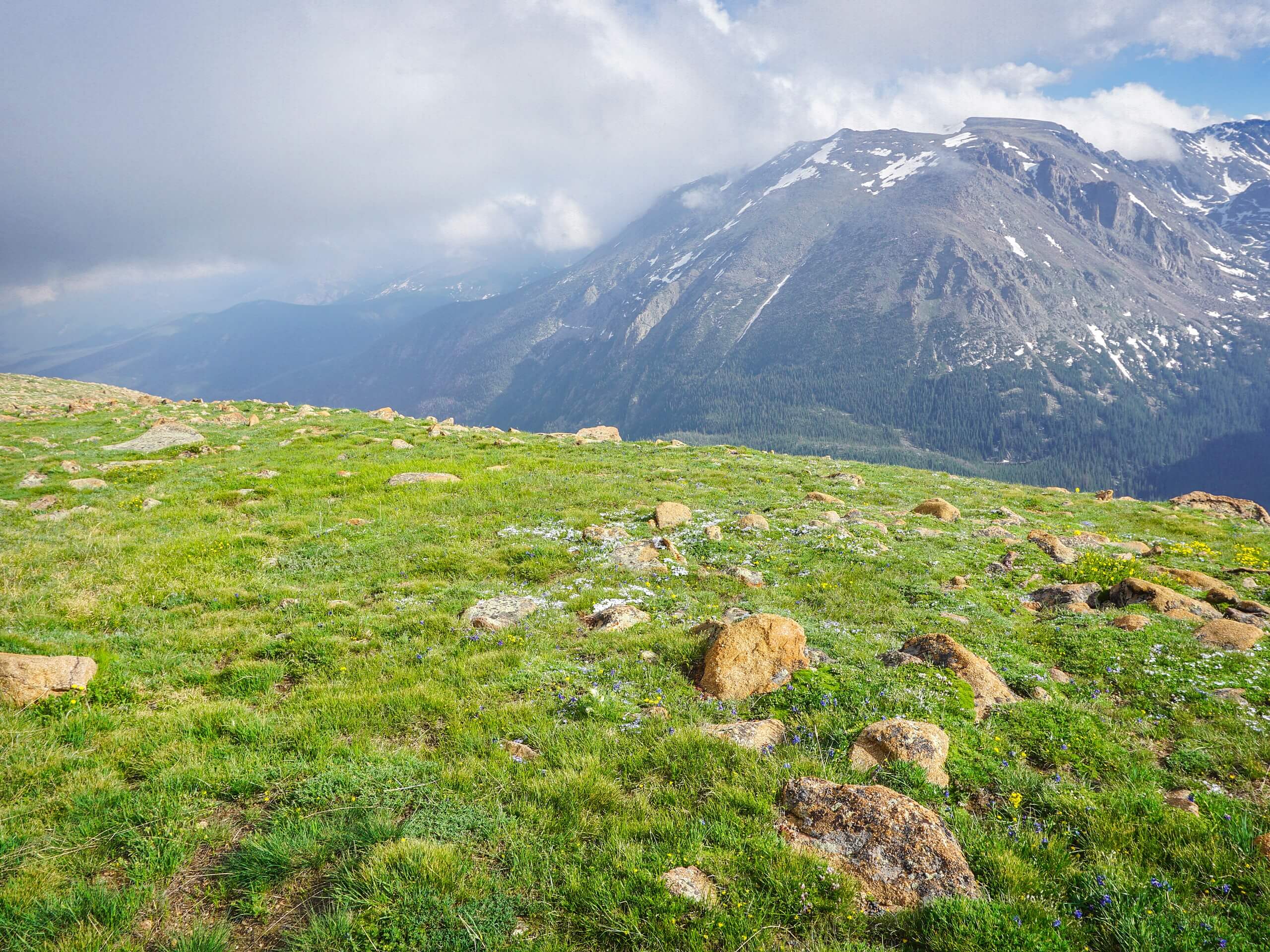 Round Mountain Nature Trail