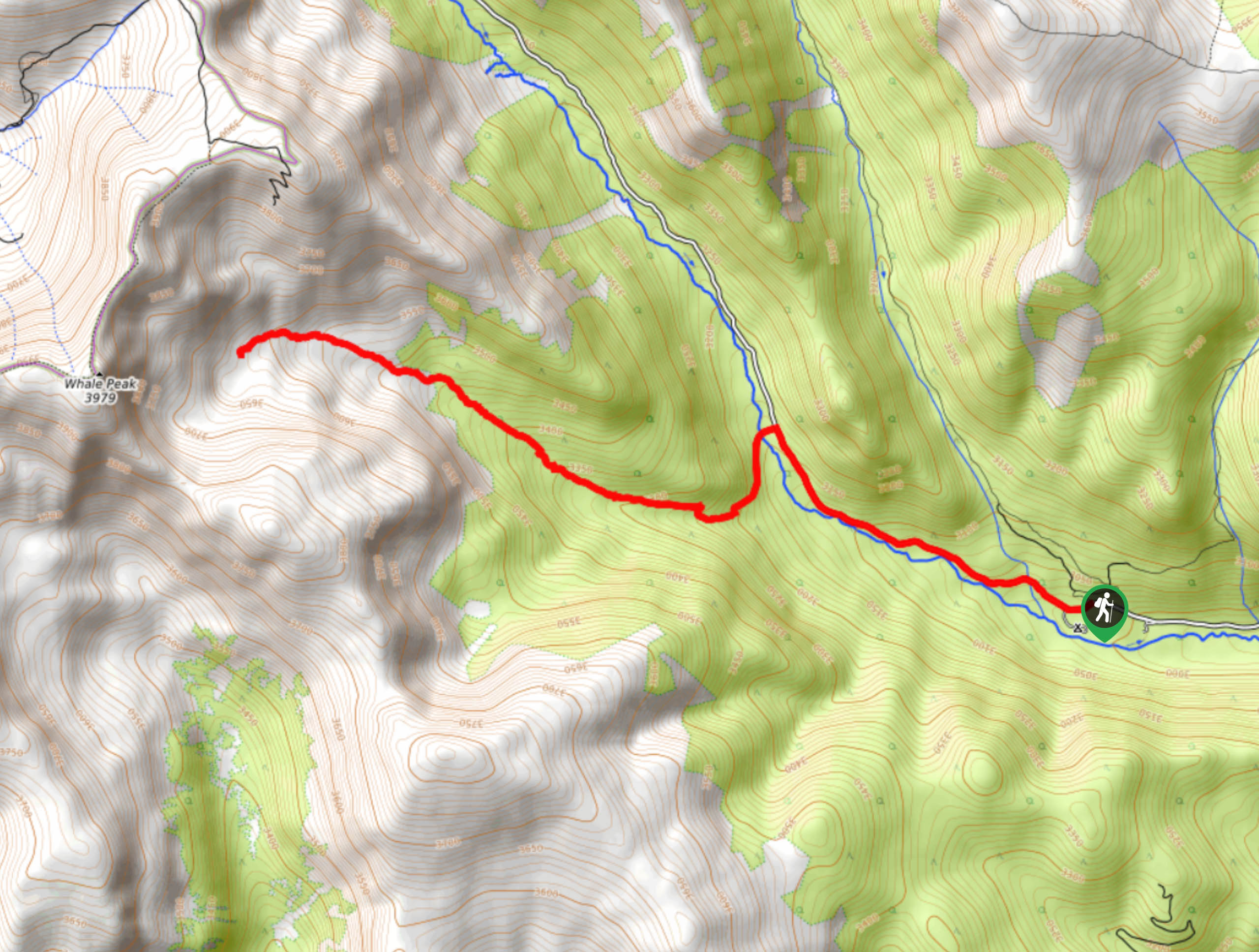 Gibson Lake Trail Map