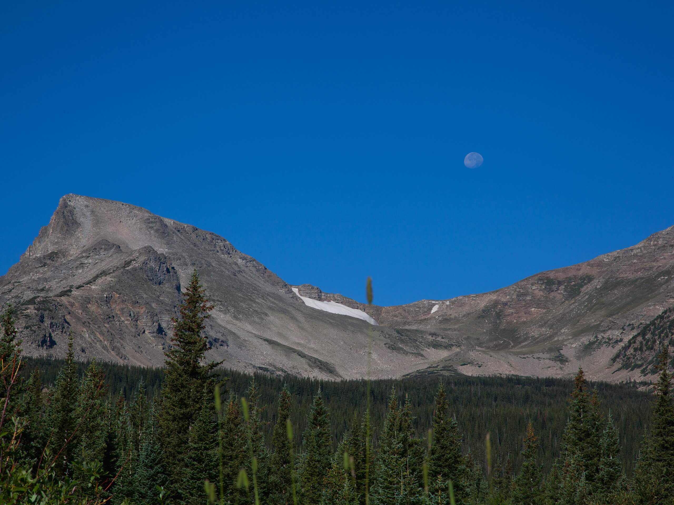 Buchanan Pass Trail