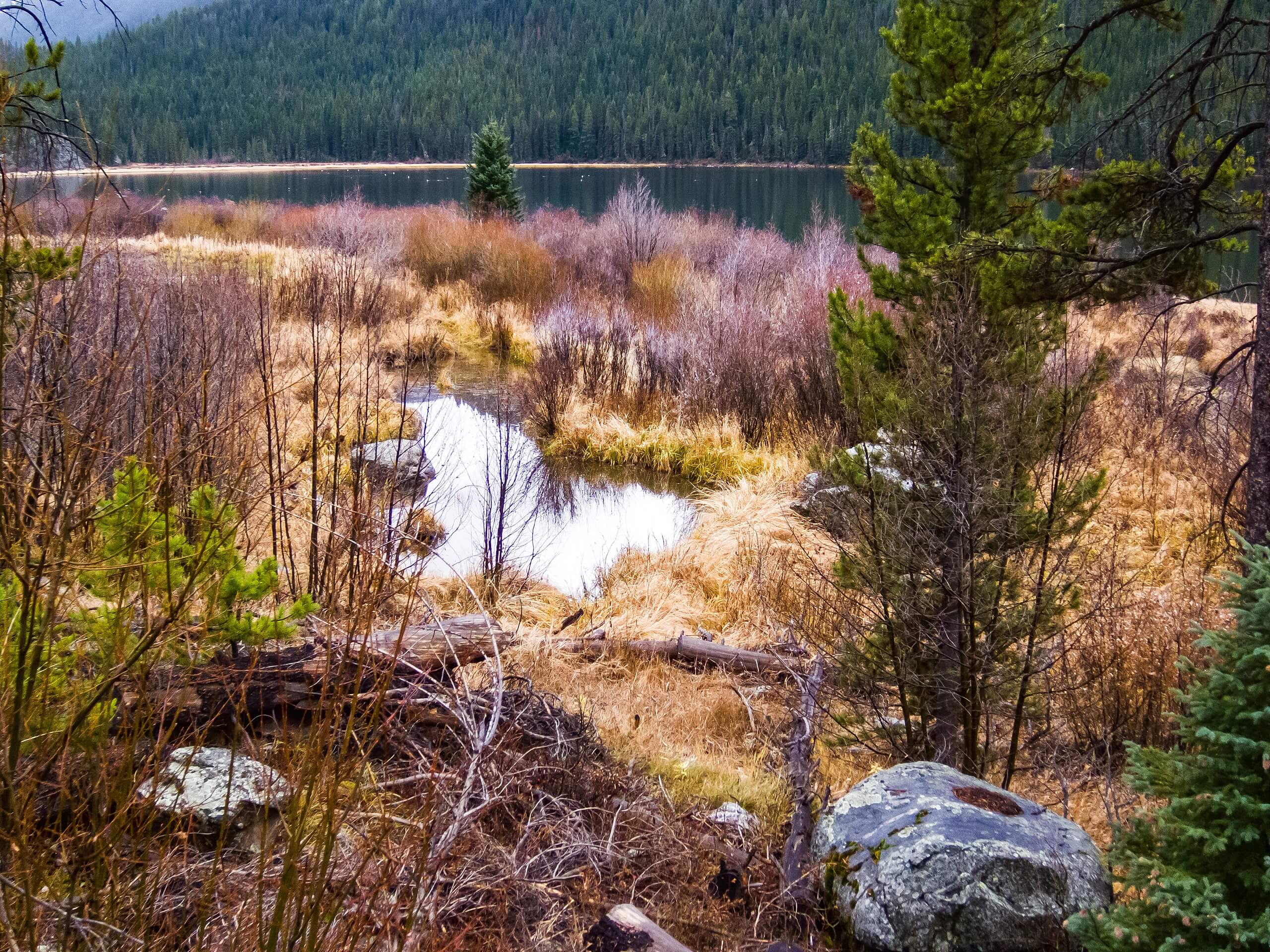 Monarch Lake Hike