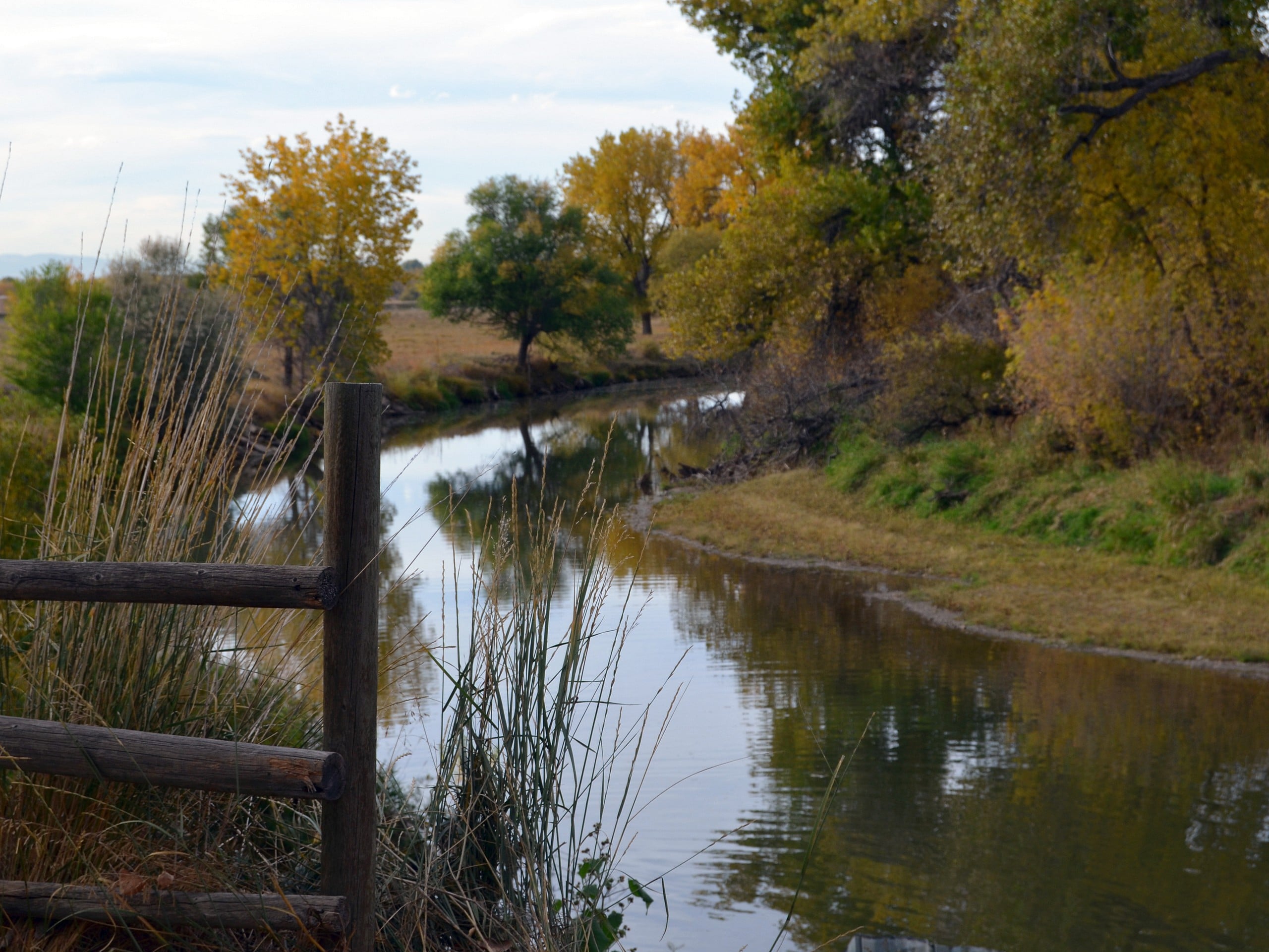 Cache La Poudre River Trail