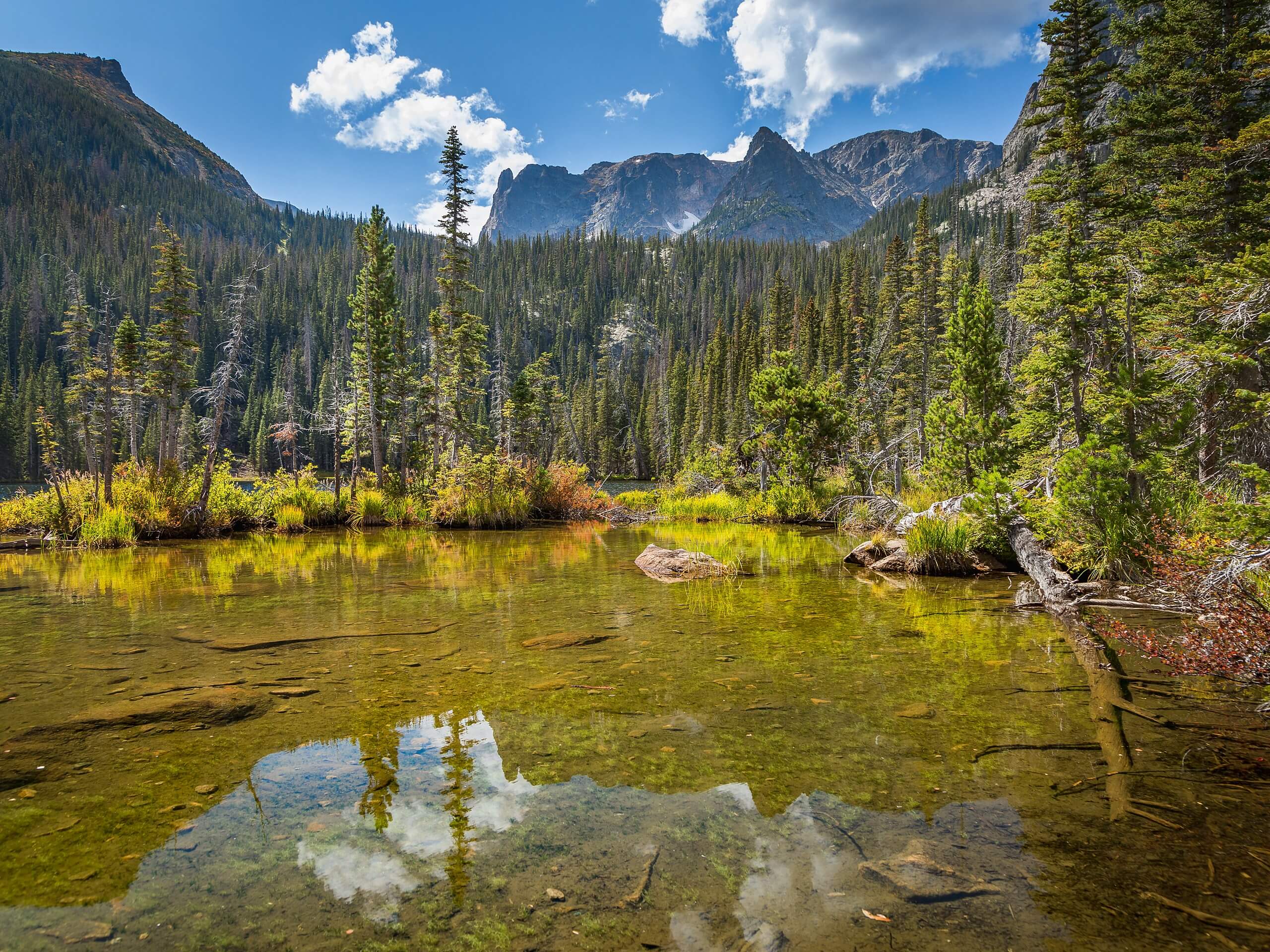 Fern Lake Trail