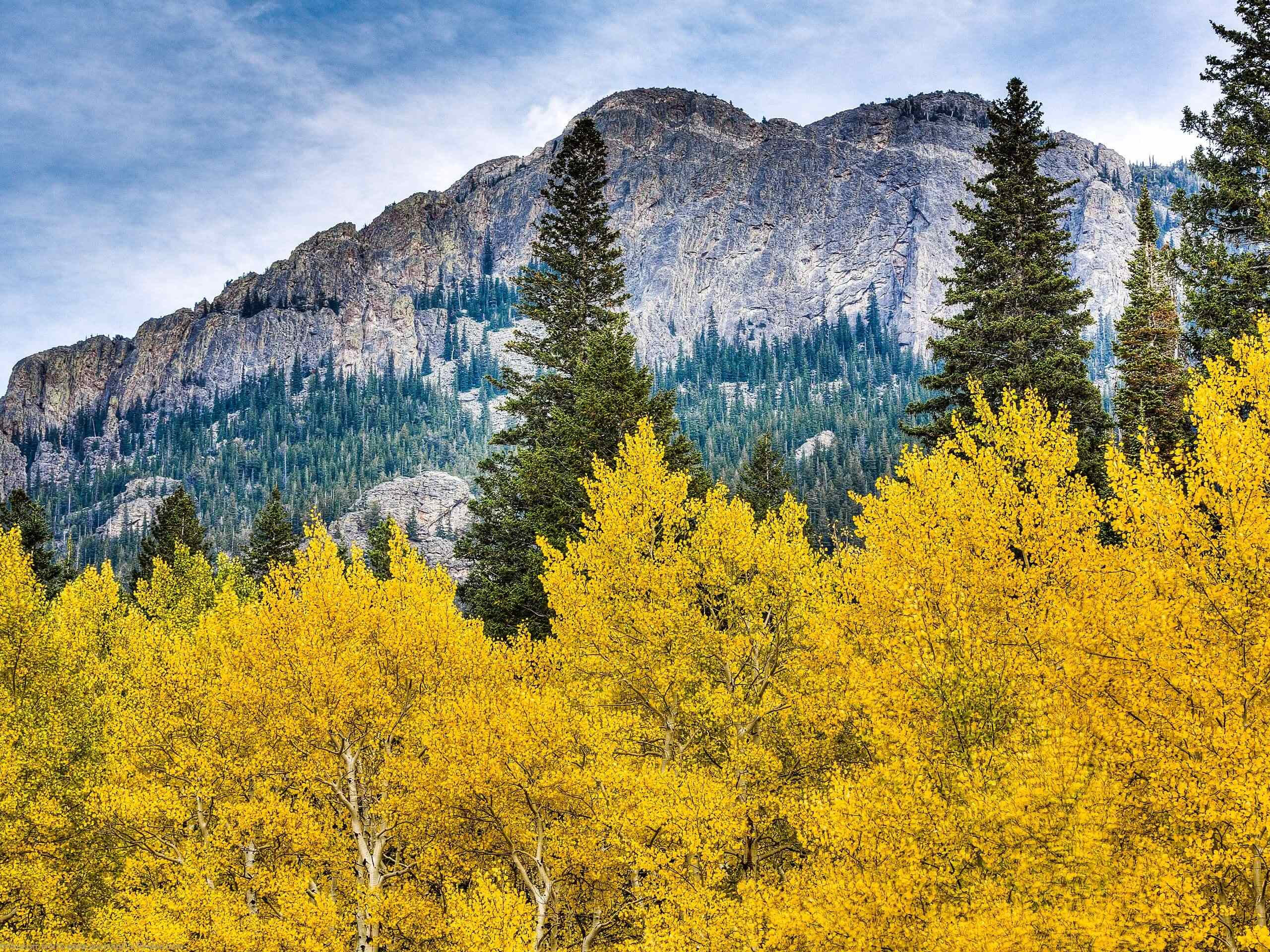 Lily Lake Trail