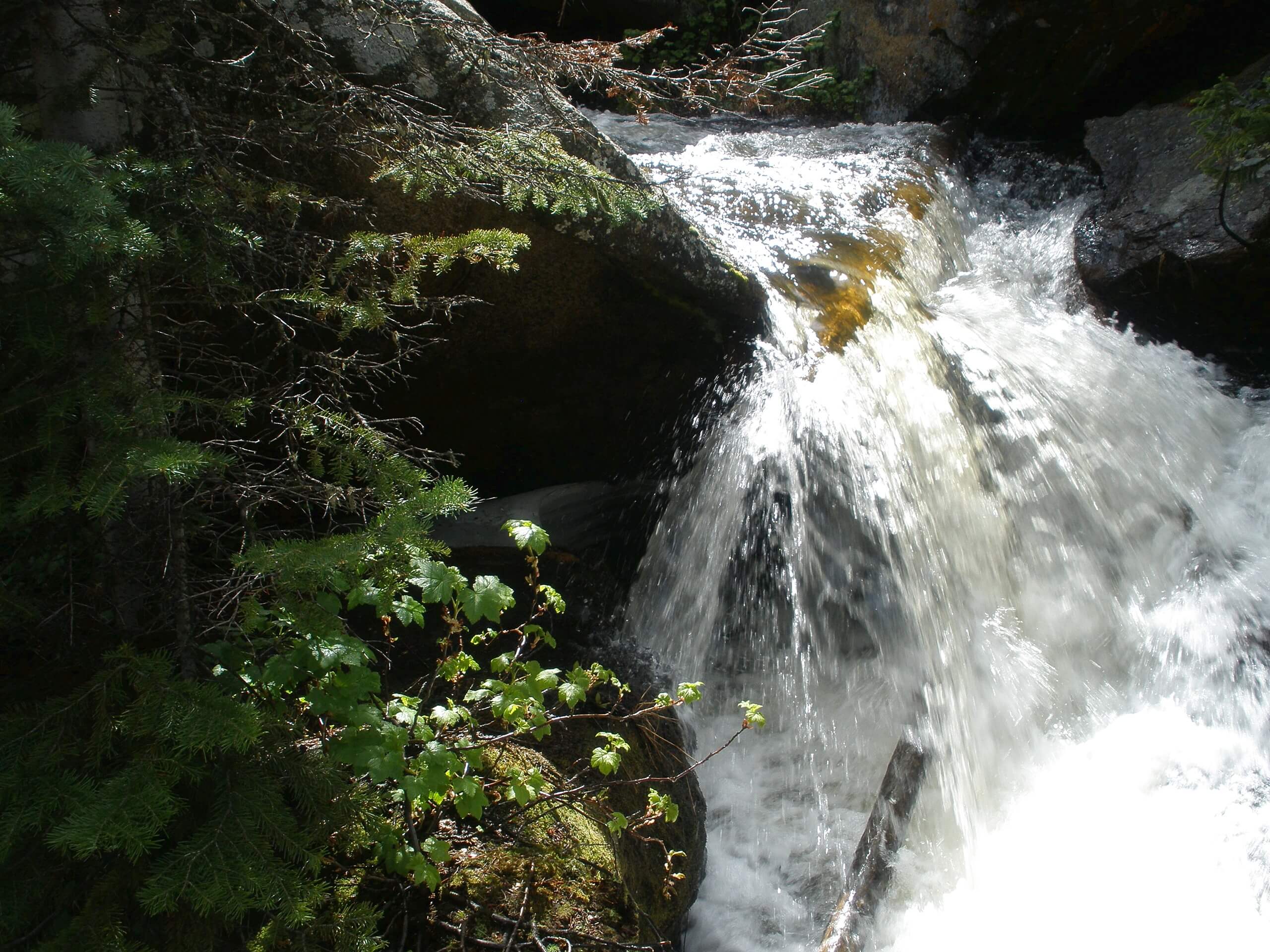 Wild Basin Trail to Ouzel Falls