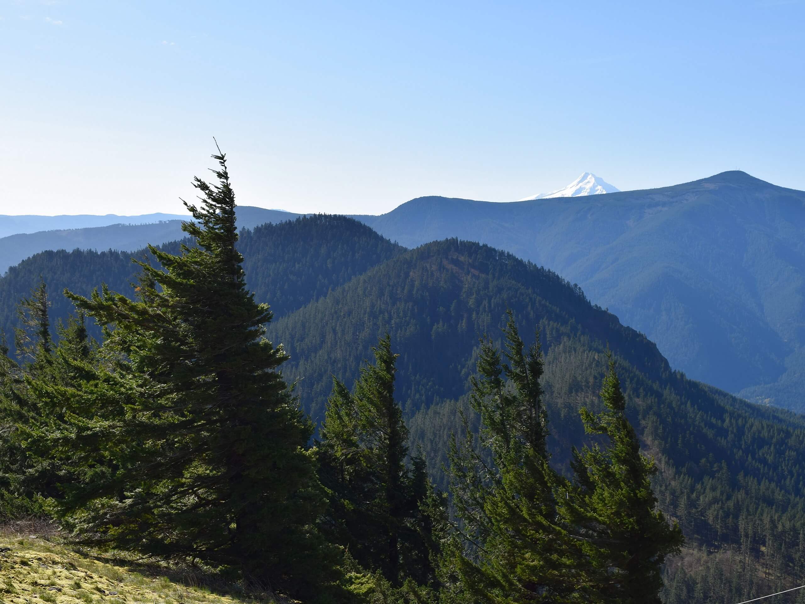 Augspurger Mountain Trail