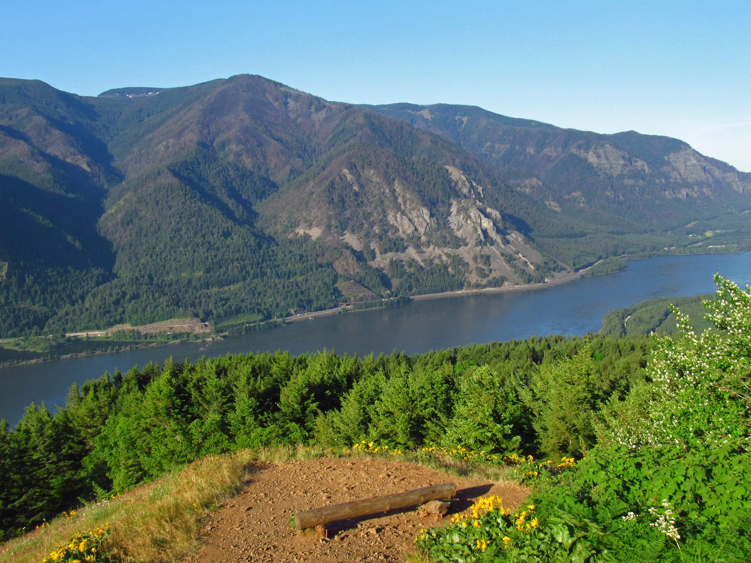 Dog Mountain Trail