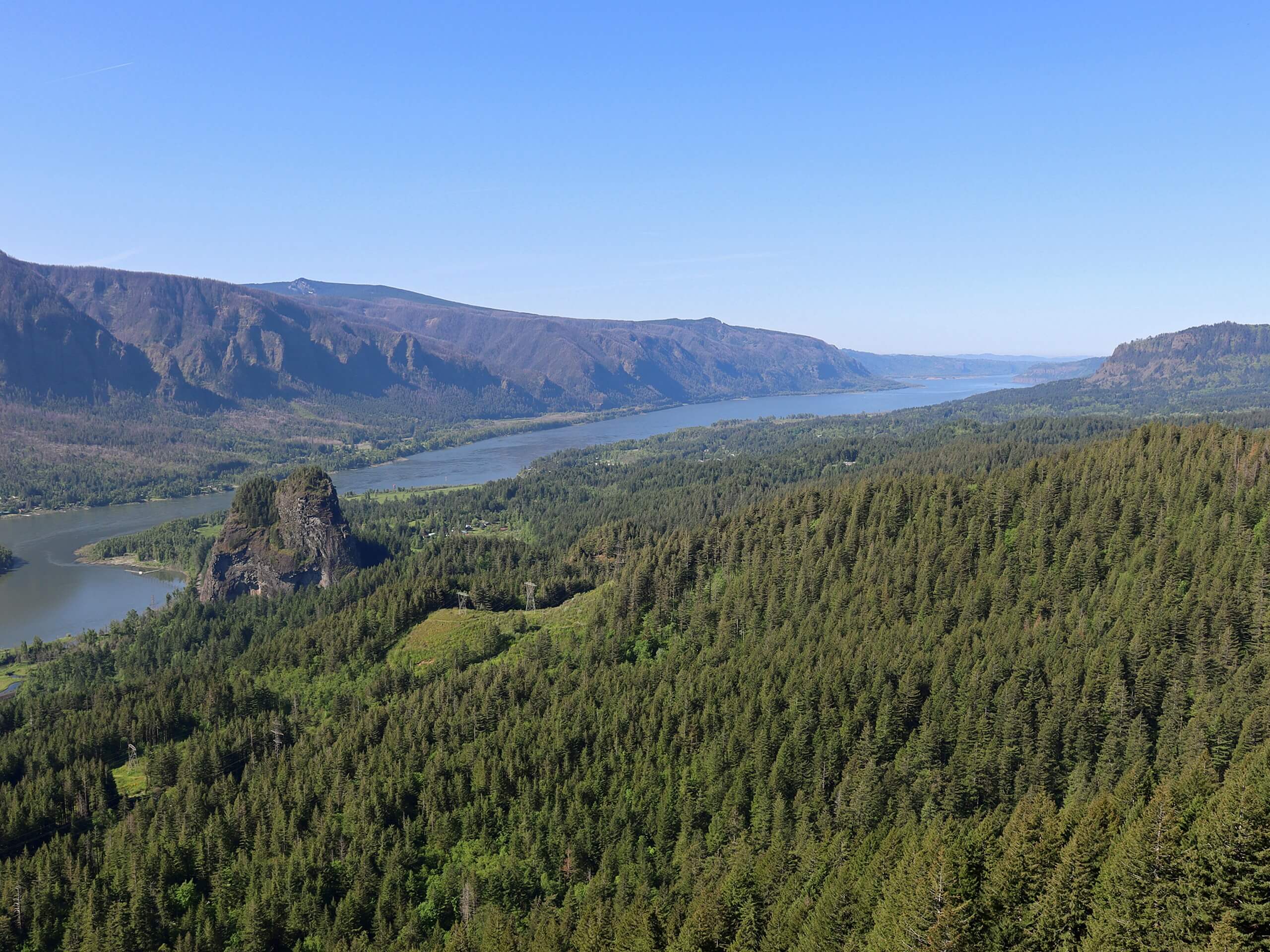 Hamilton Mountain Trail