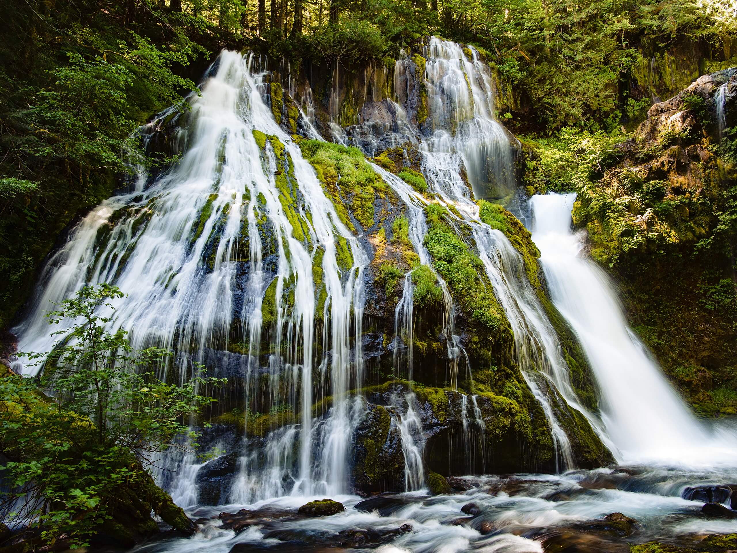 Panther Creek Falls Hike