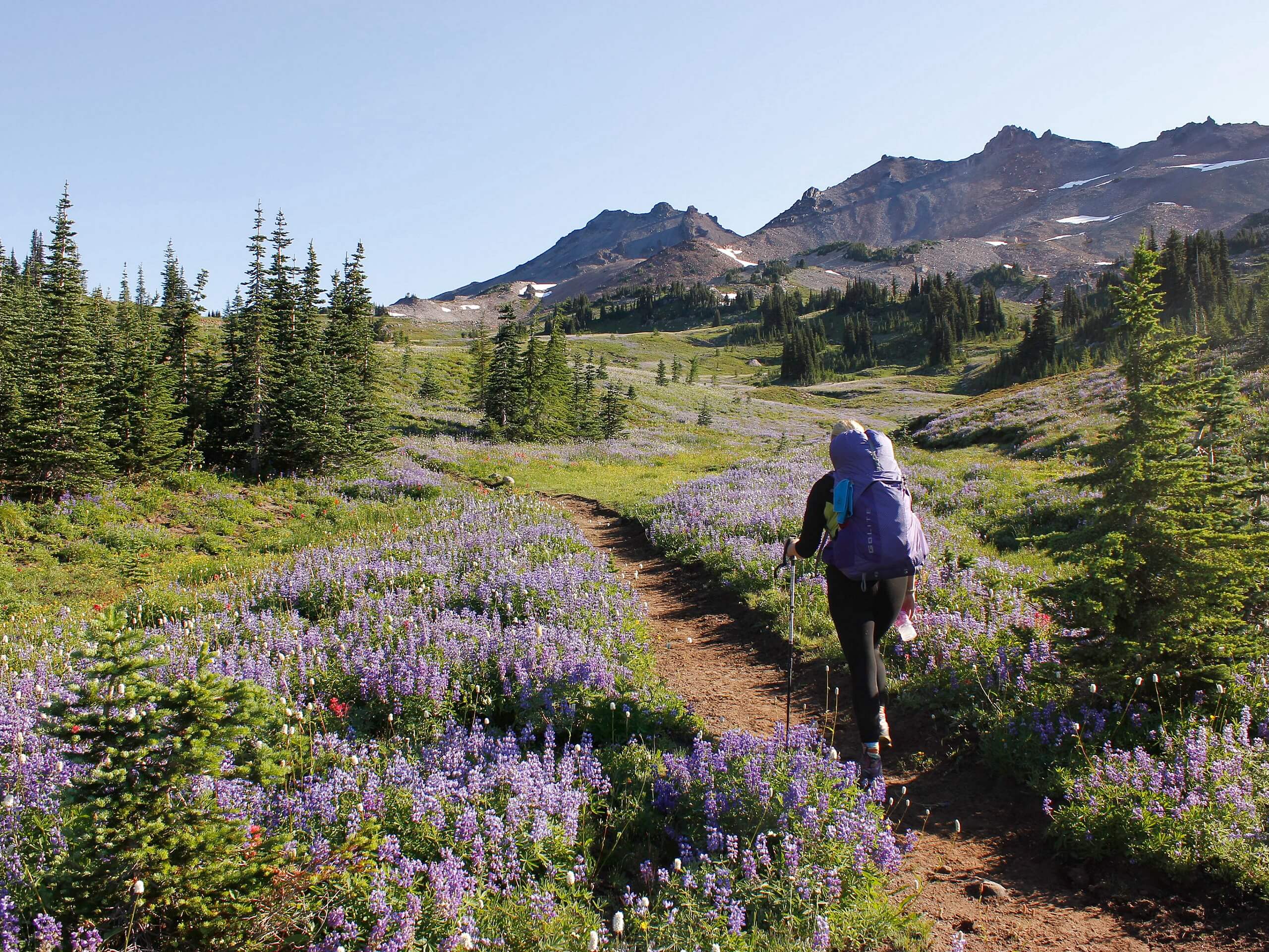 Snowgrass Flats and Goat Lake Loop