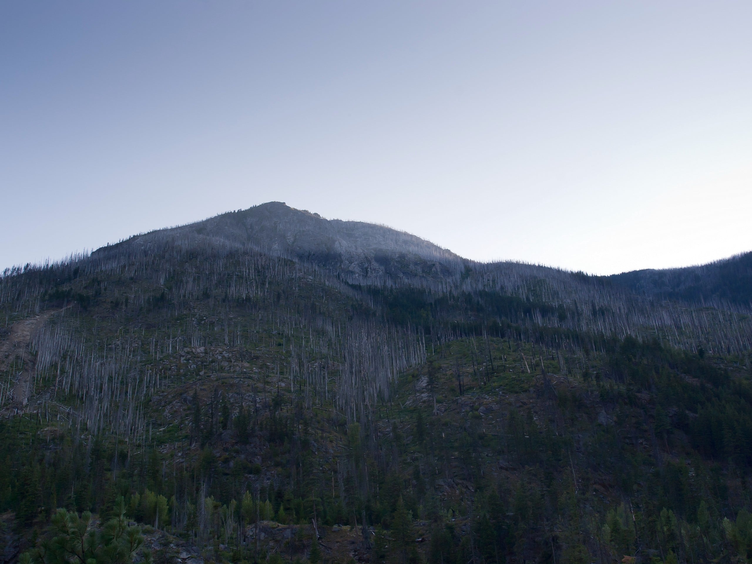 Windy Ridge Trail