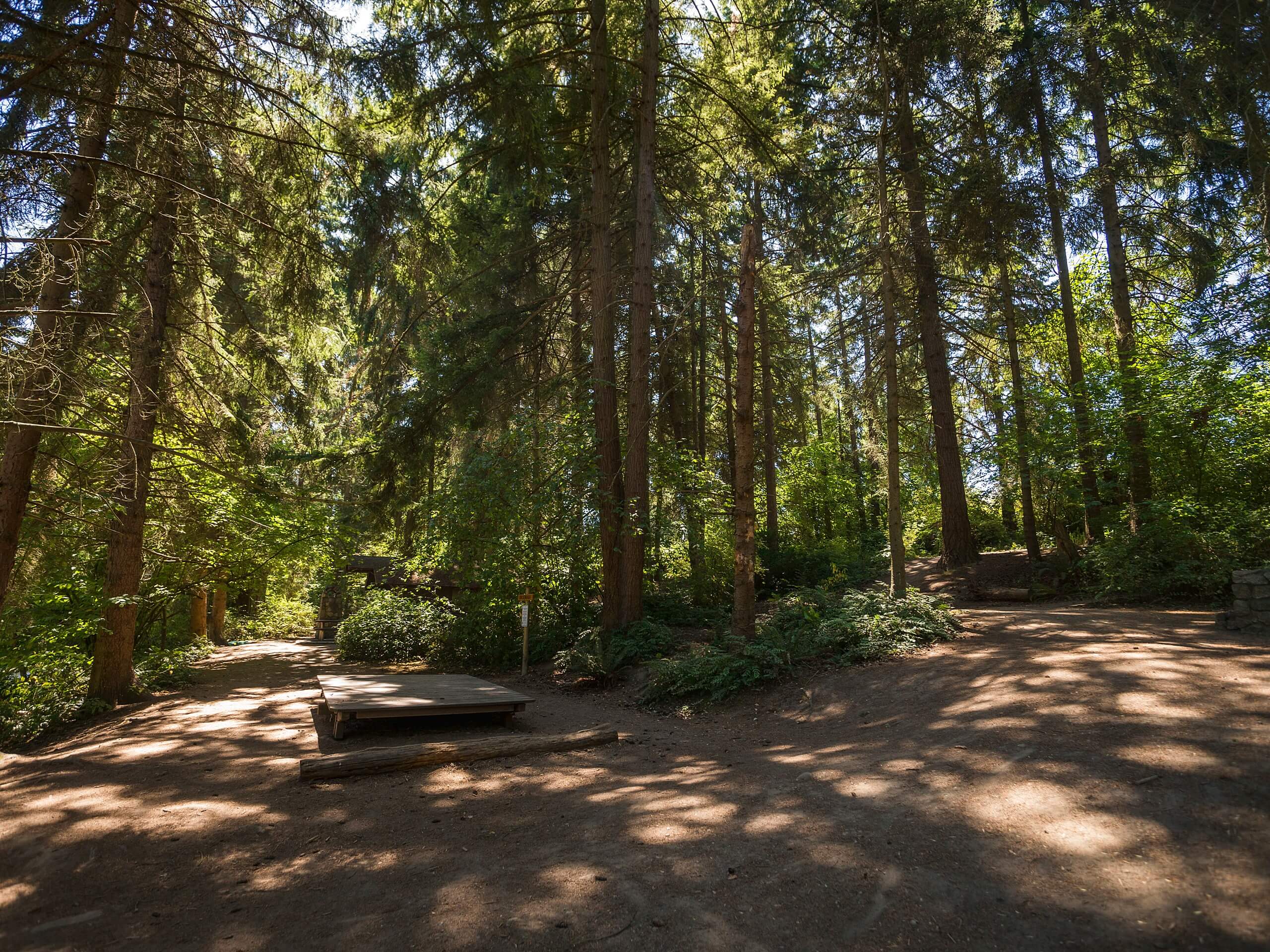 Camp Long Loop Trail