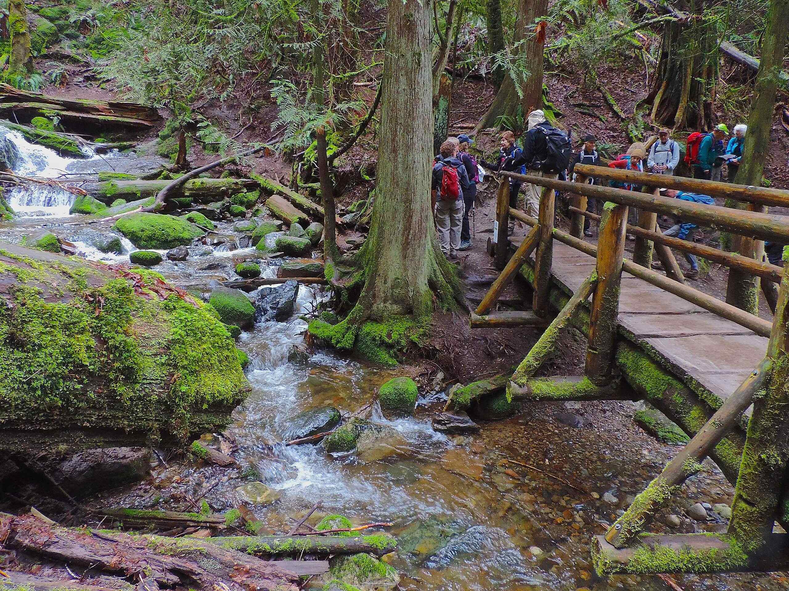 Coal Creek Falls via Cave Hole Trail