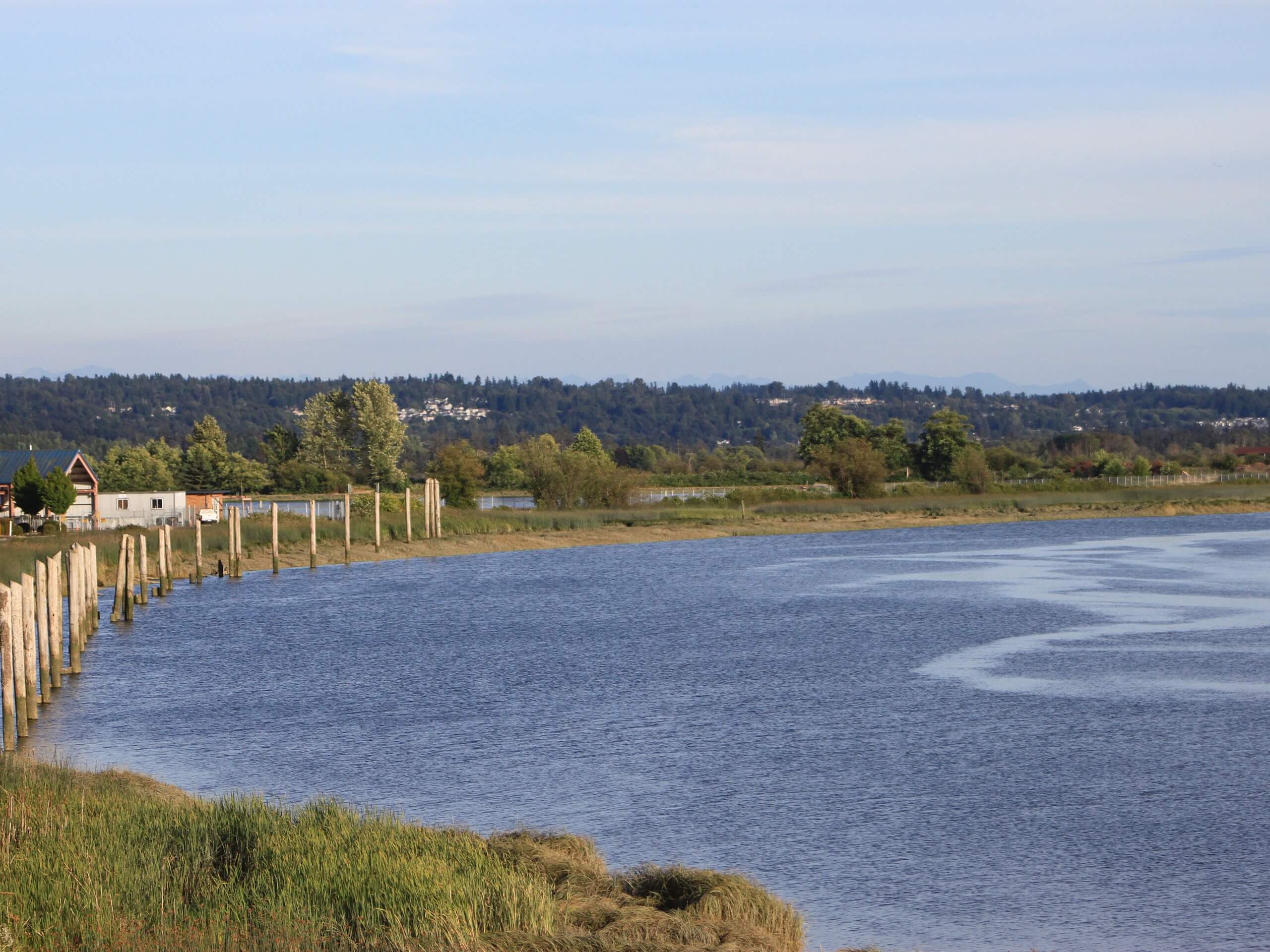 Ebey Slough Trail