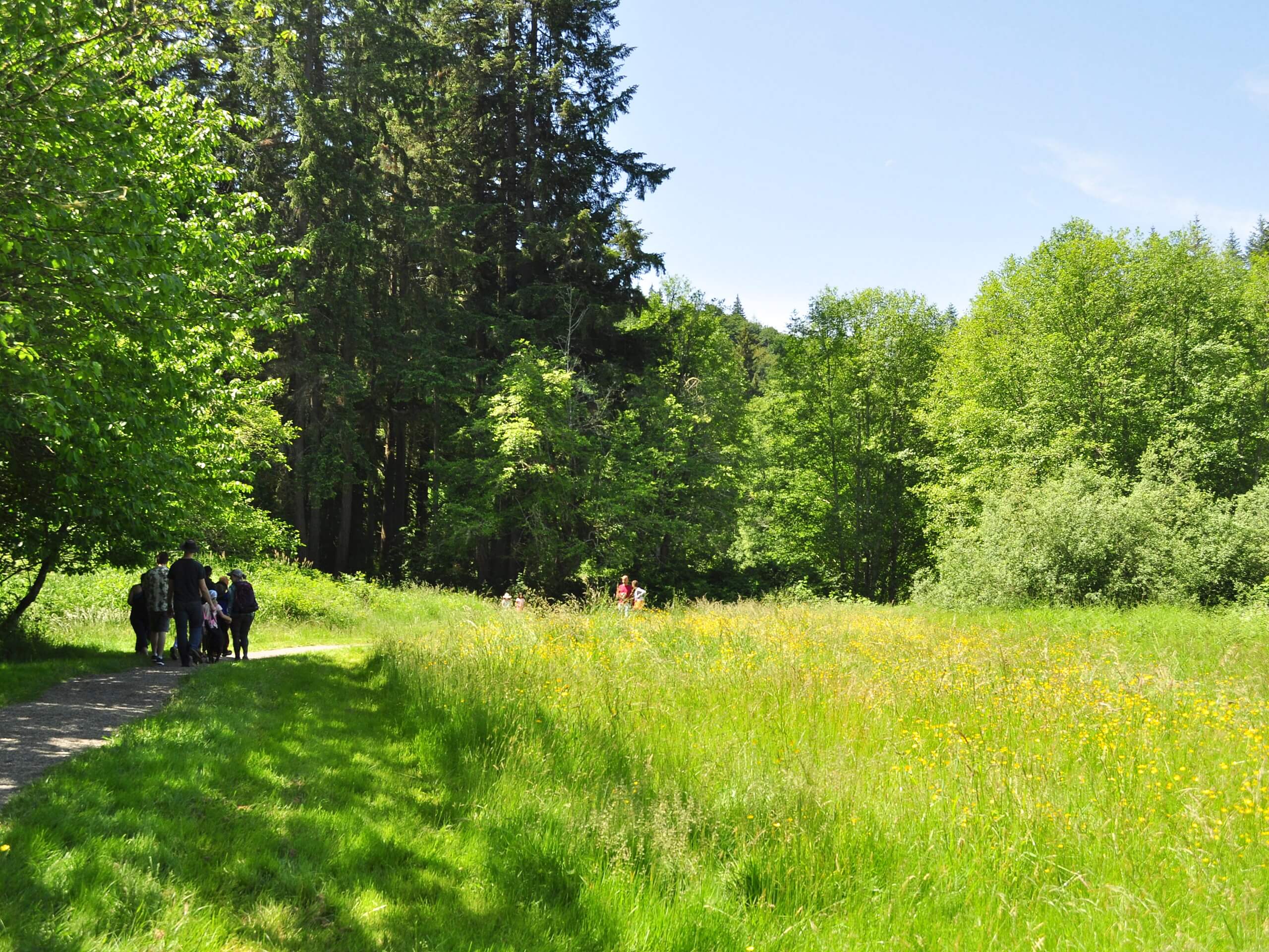 Evans Creek Preserve Trail