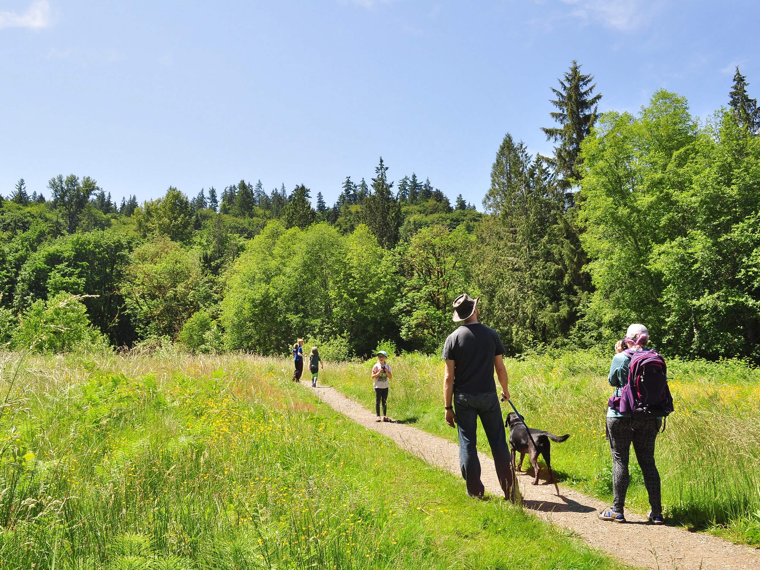 Evans Creek Preserve from Sahalee Way