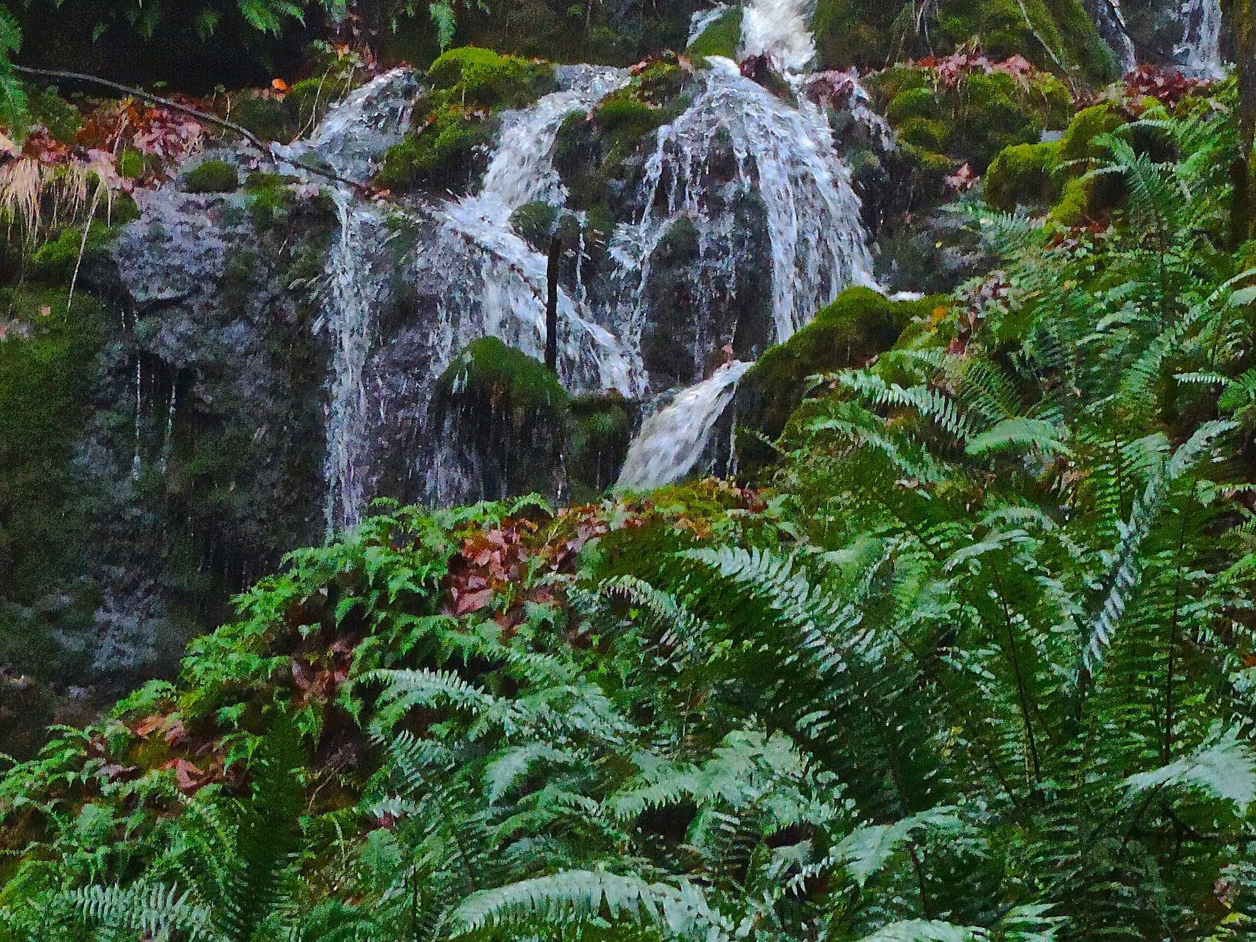 Far Country Falls via Licorice Fern Trail