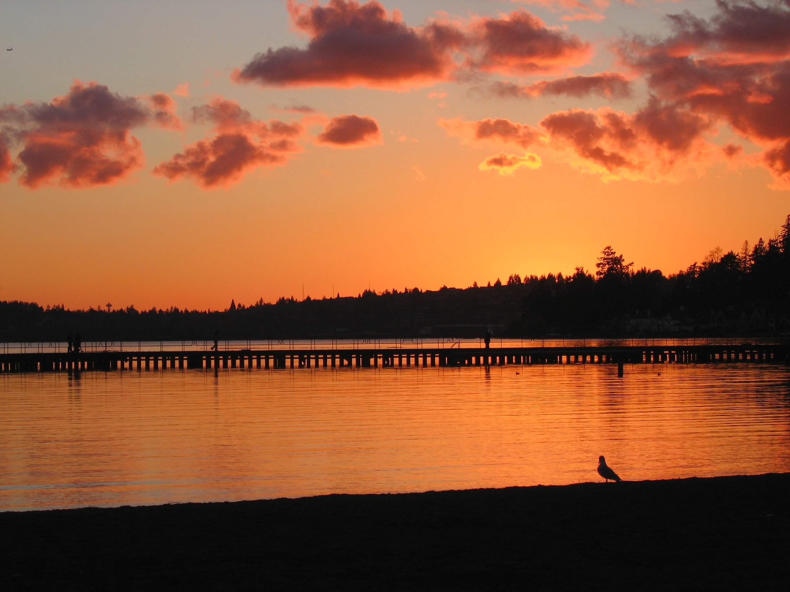 Juanita Beach Loop