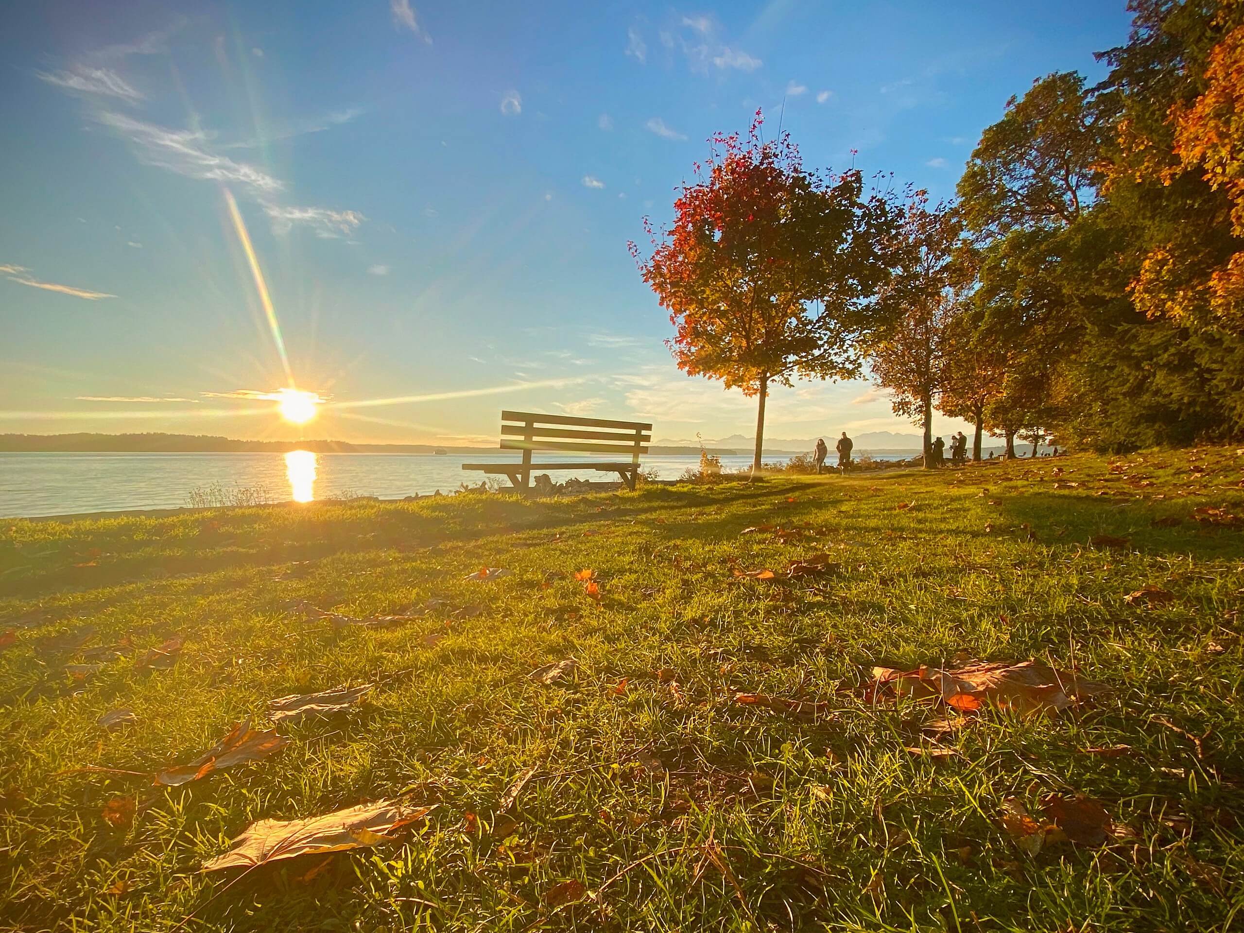 Lincoln Park Trail