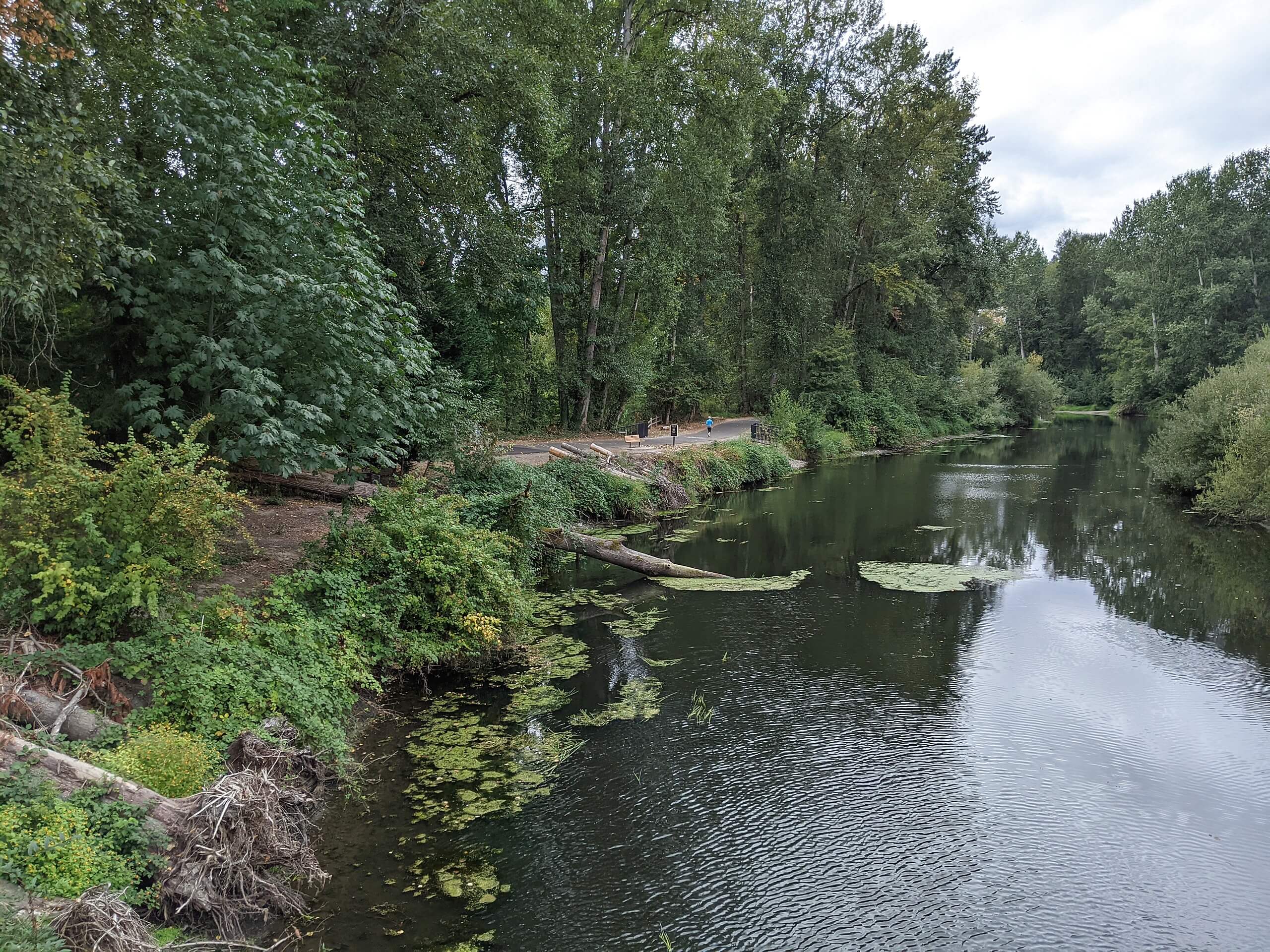 Sammamish River Trail