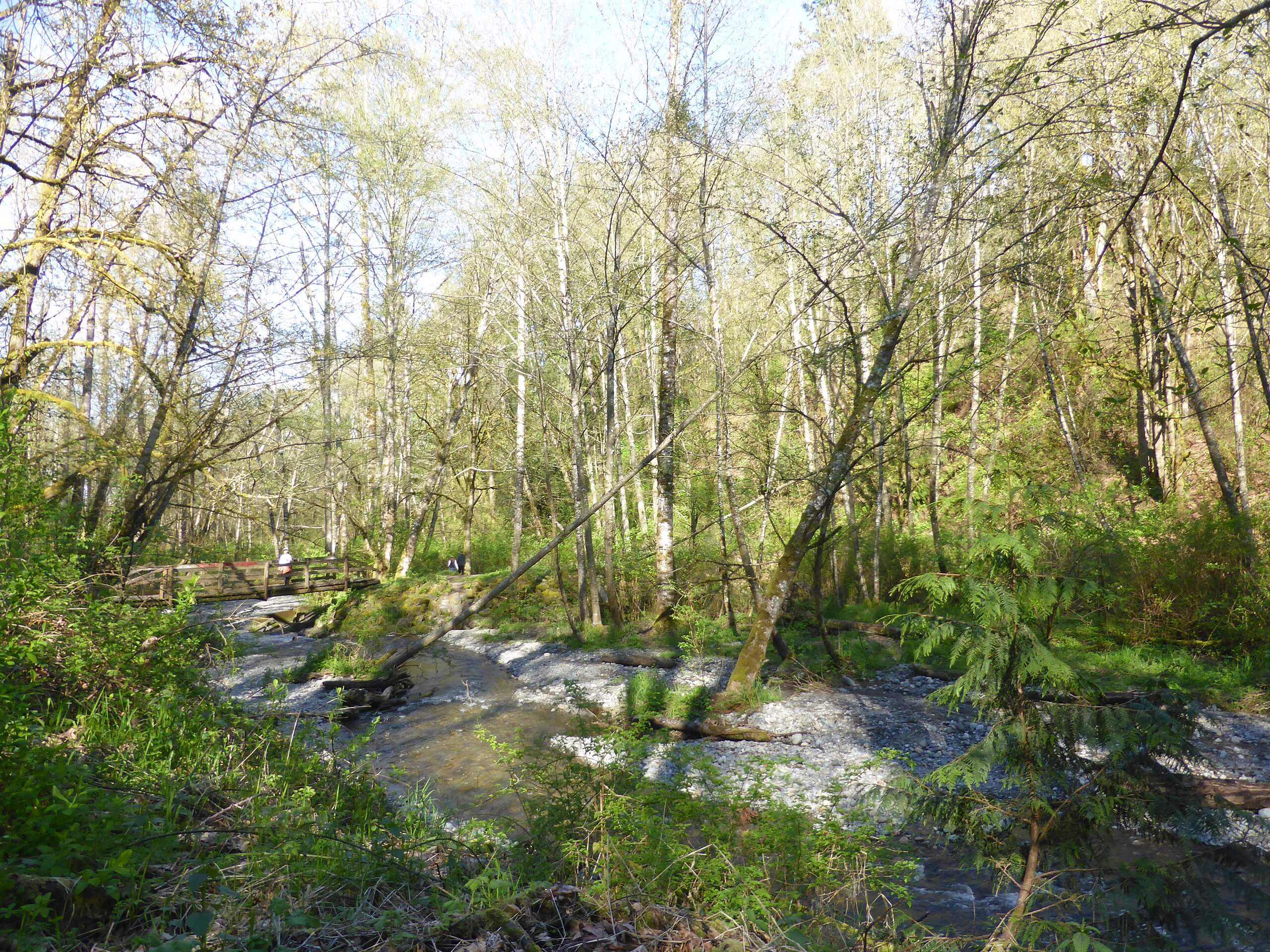 Swan Creek Park Trail