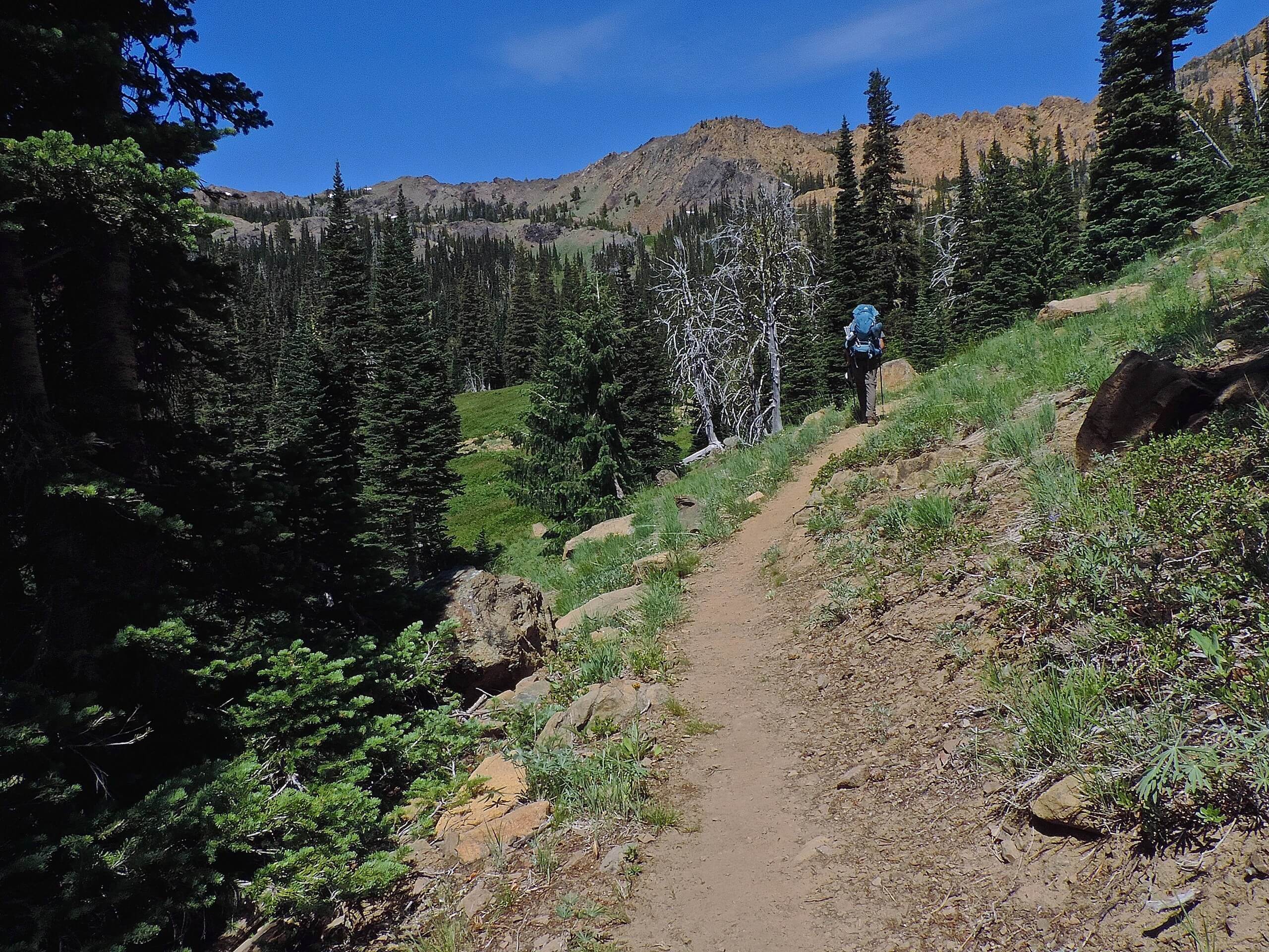 Bean Creek Basin Trail