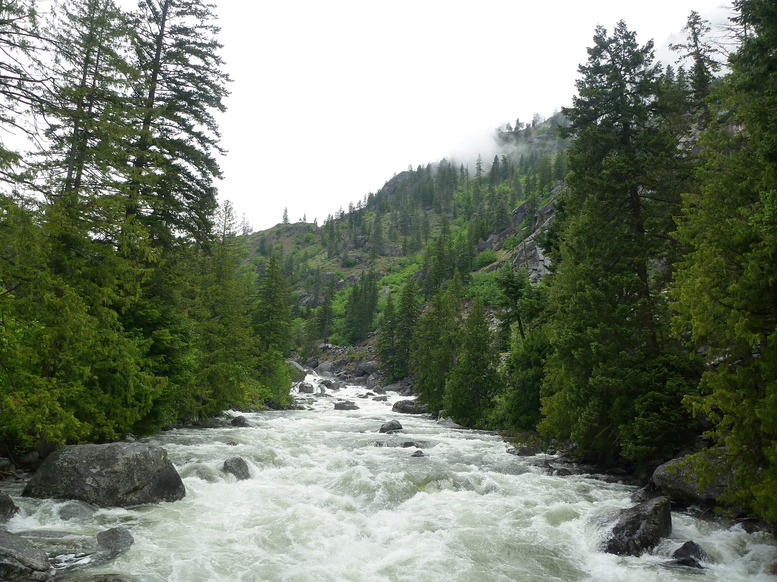 Icicle Creek Trail