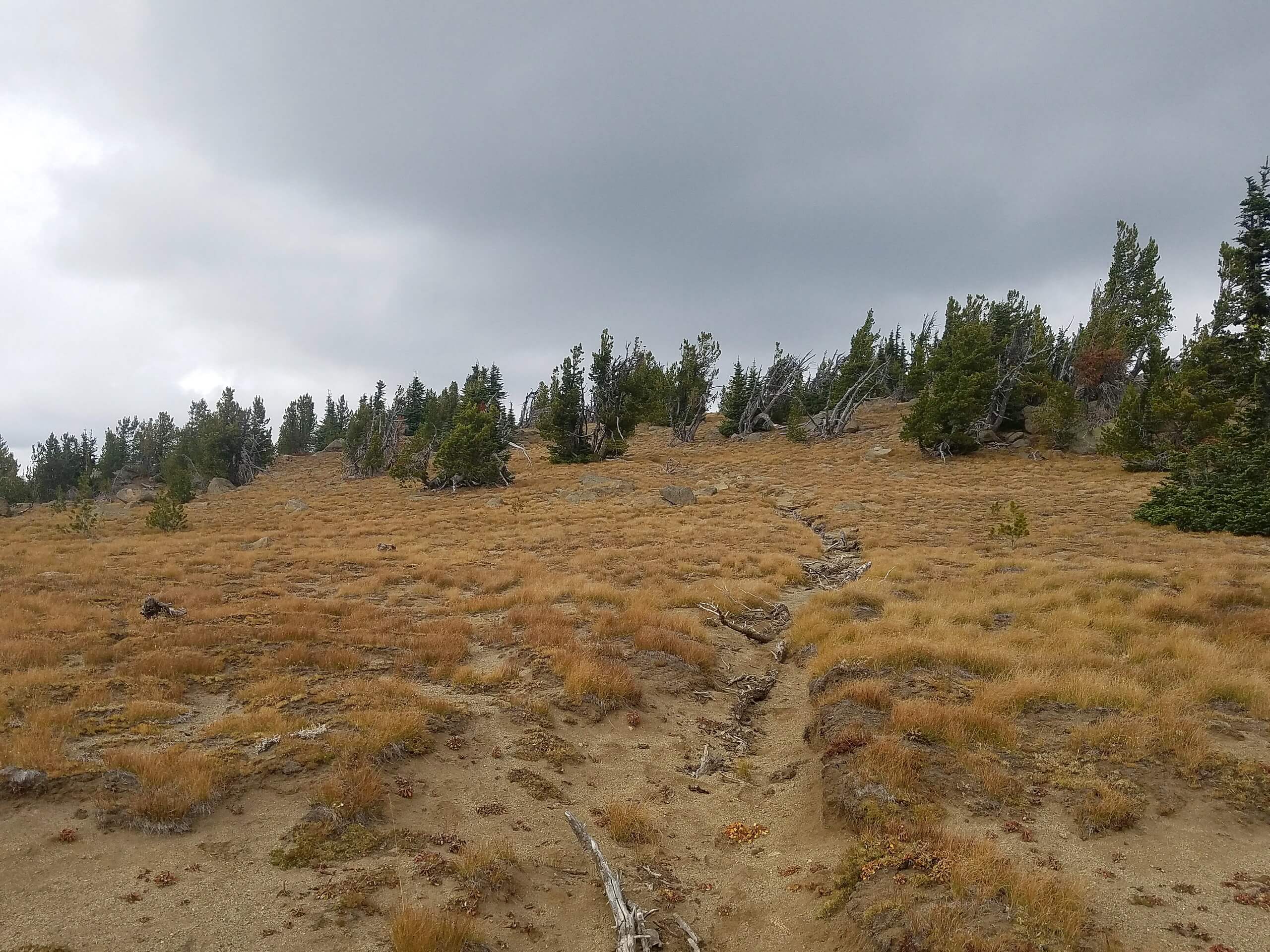 Icicle Ridge Trail