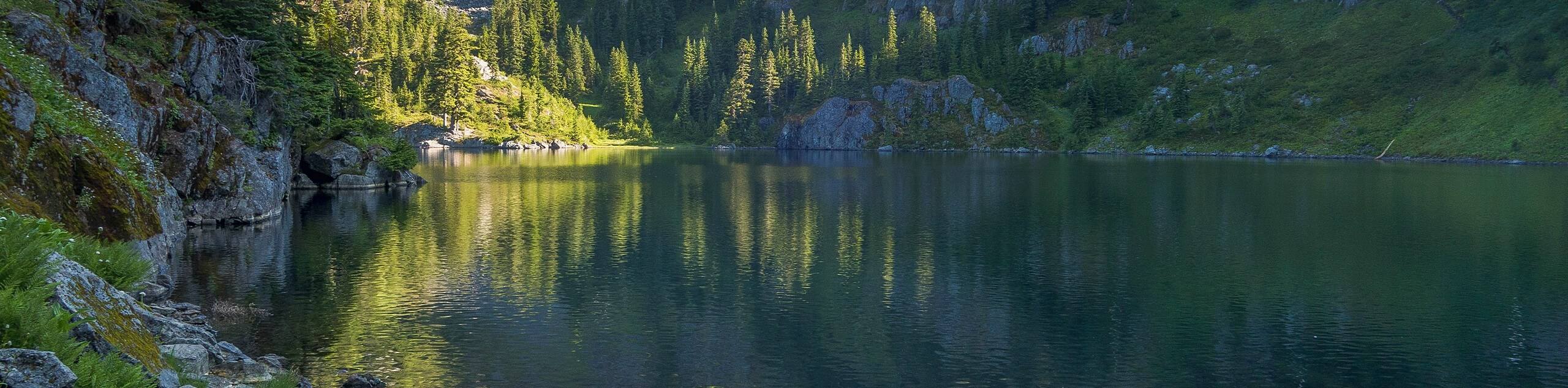 Lake Lillian Trail