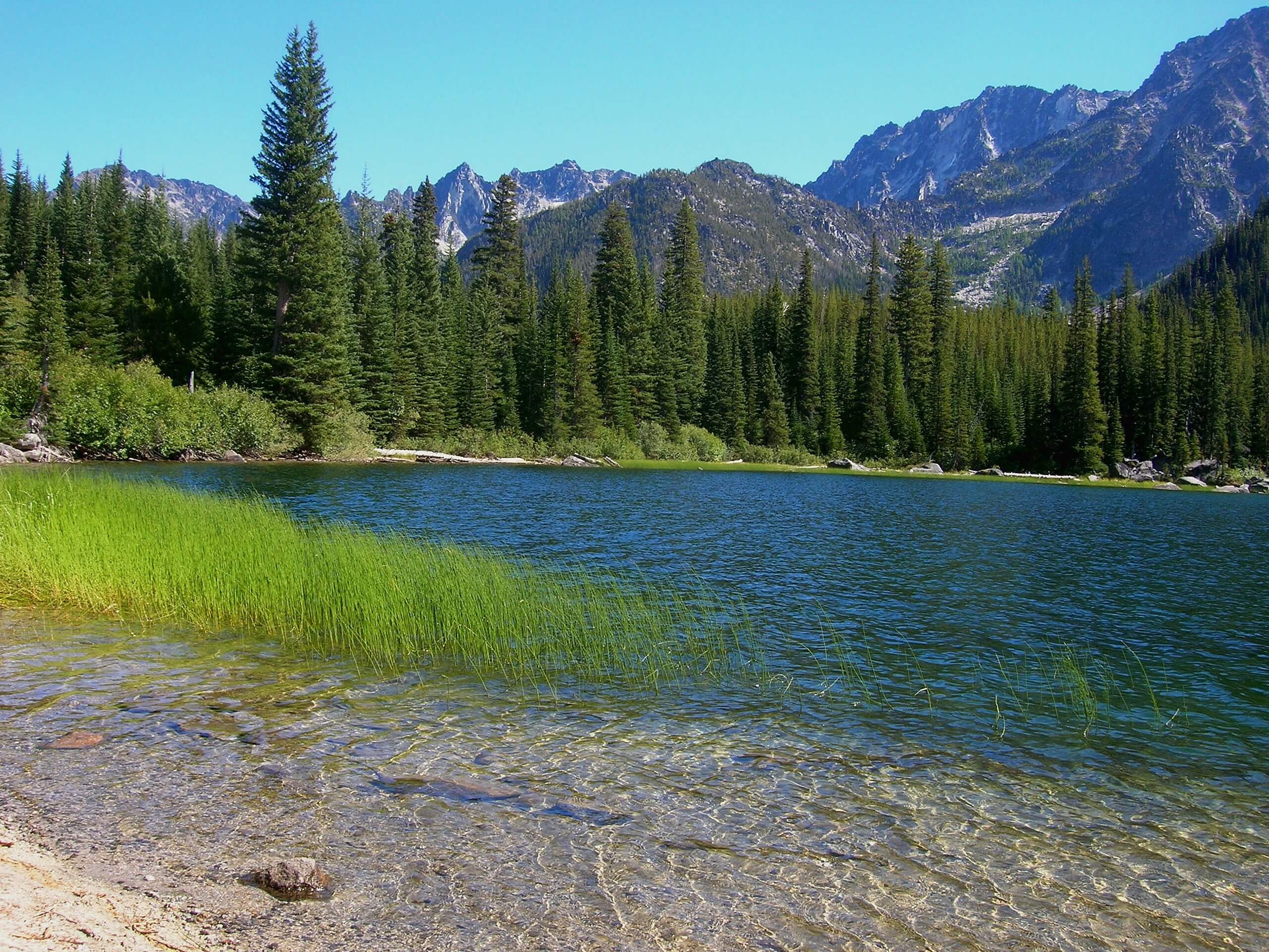 Lake Stuart Trail