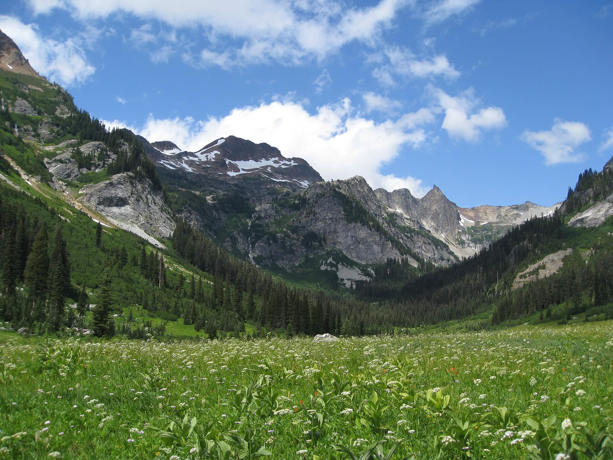 Spider Meadow Trail