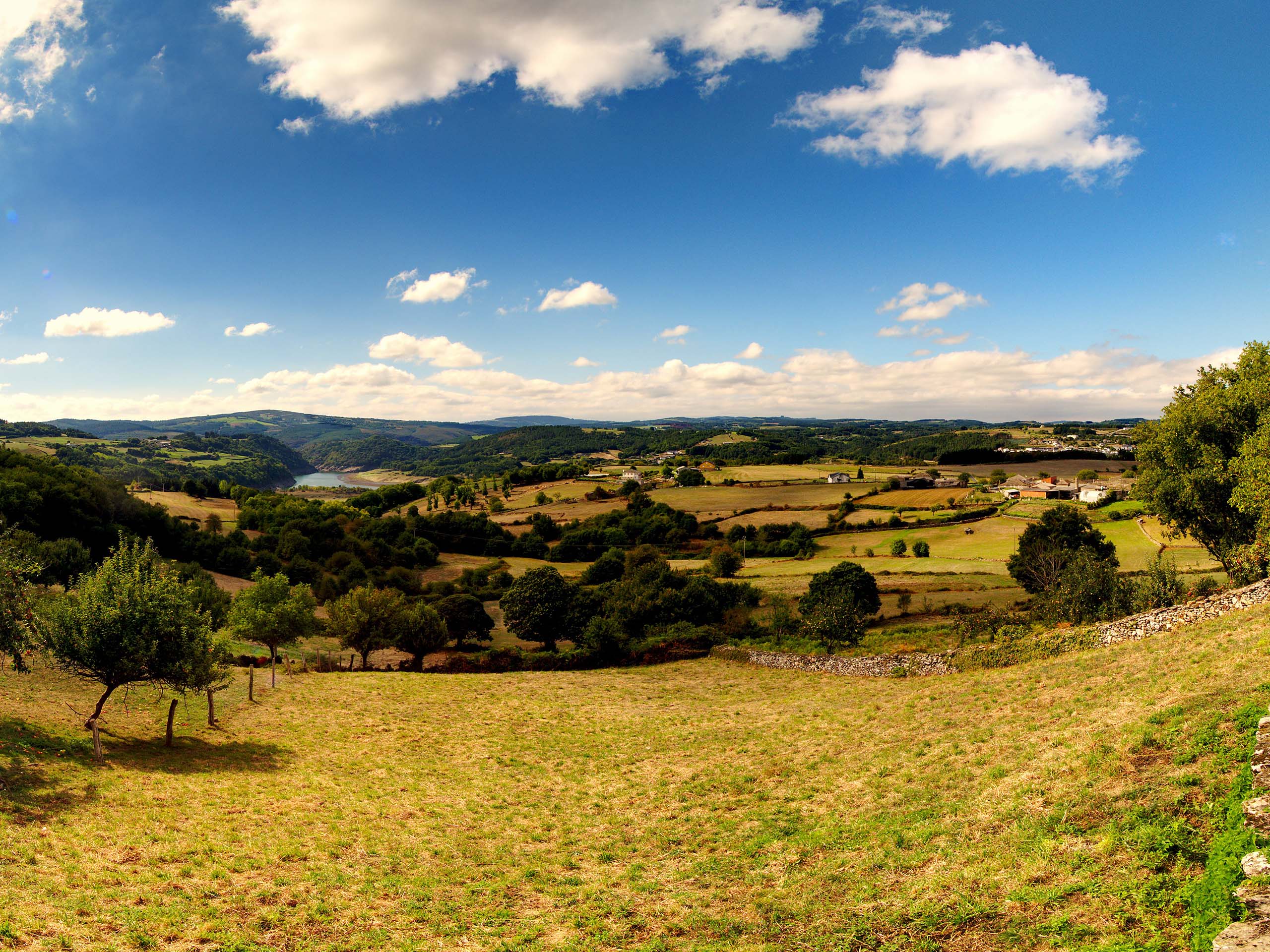 Day 29 - Hike through lovely Galician forests - Sarria