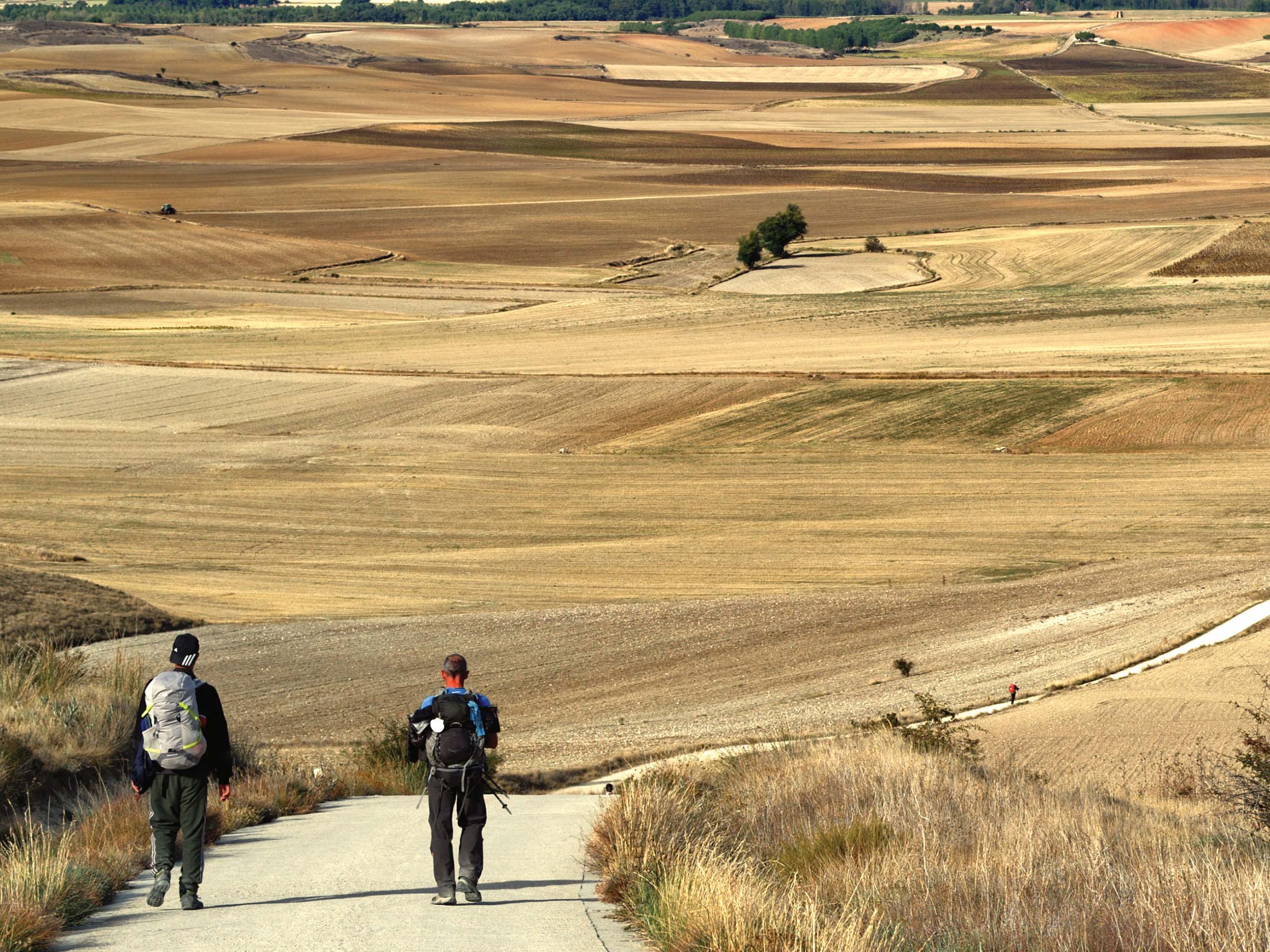 Day 15 - Travel through exposed landscapes - Castrojeriz