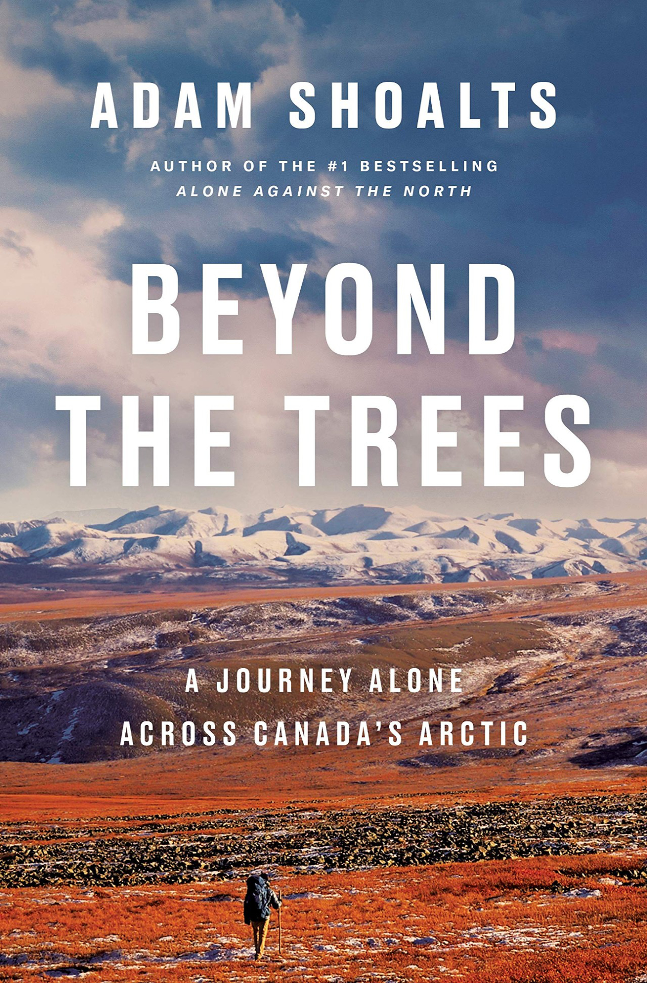 Beyond the Trees A Journey Alone Across Canada’s Arctic