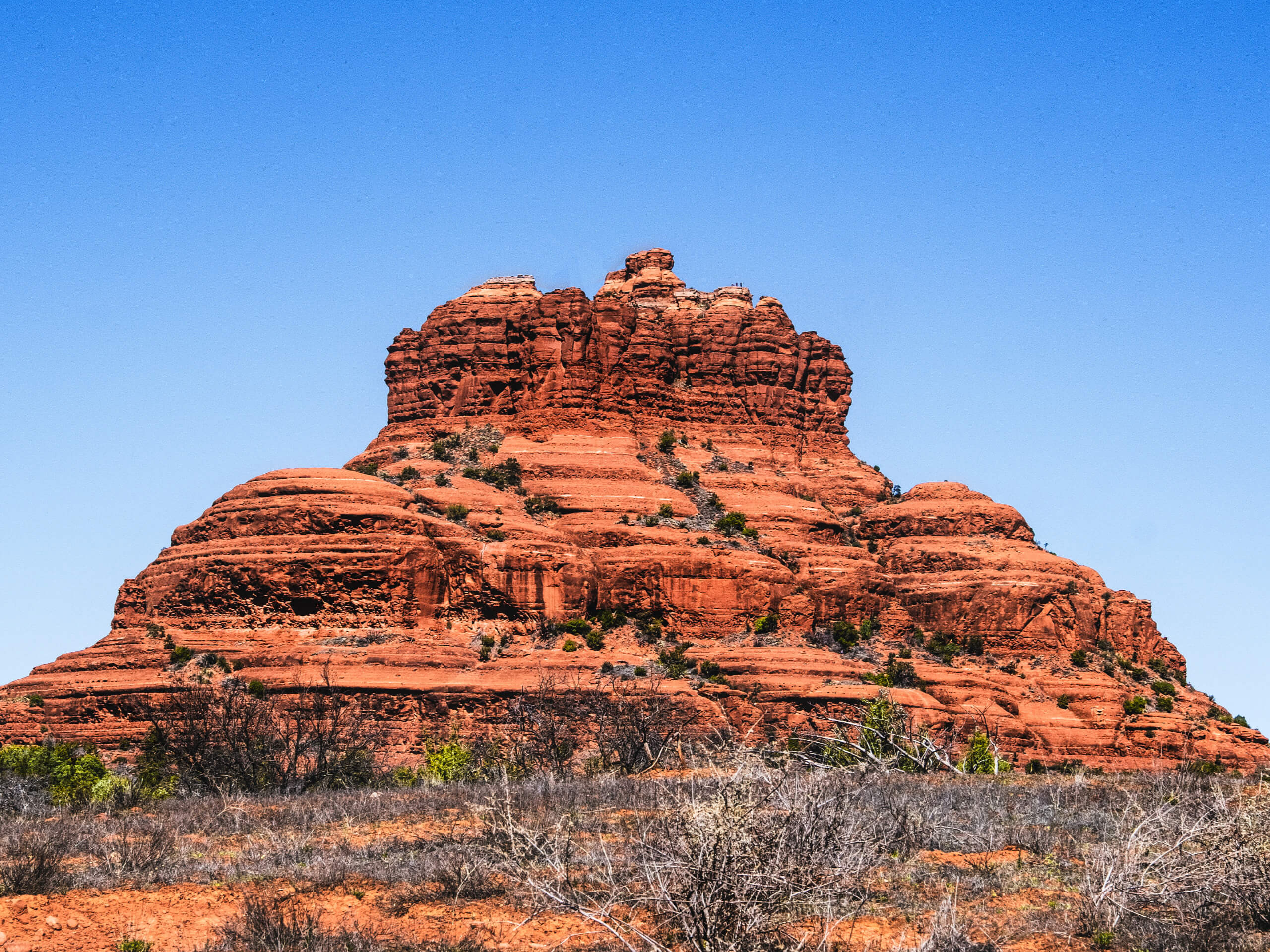 Big Park Loop