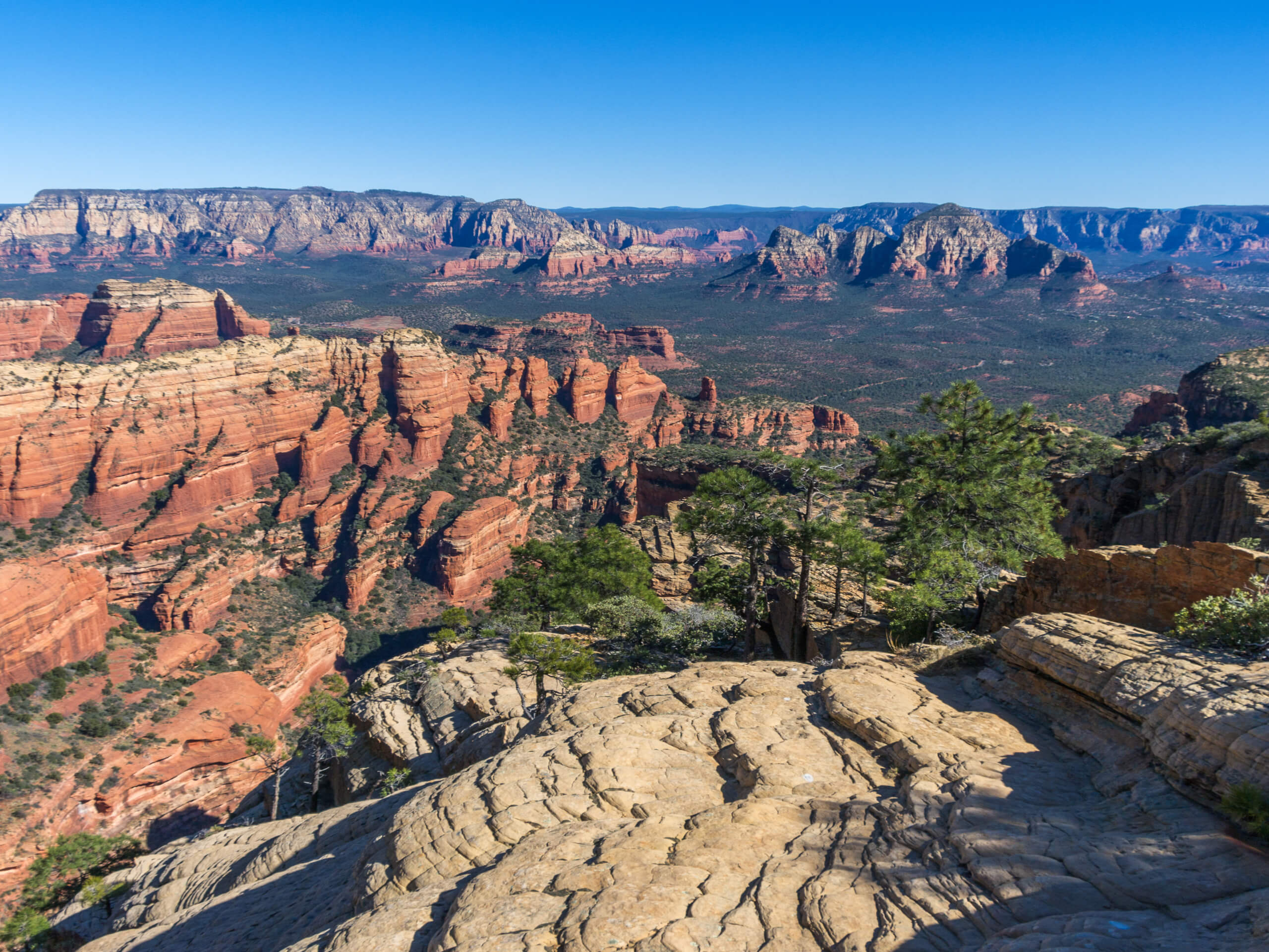 Capitol Butte via Lizard Head Trail