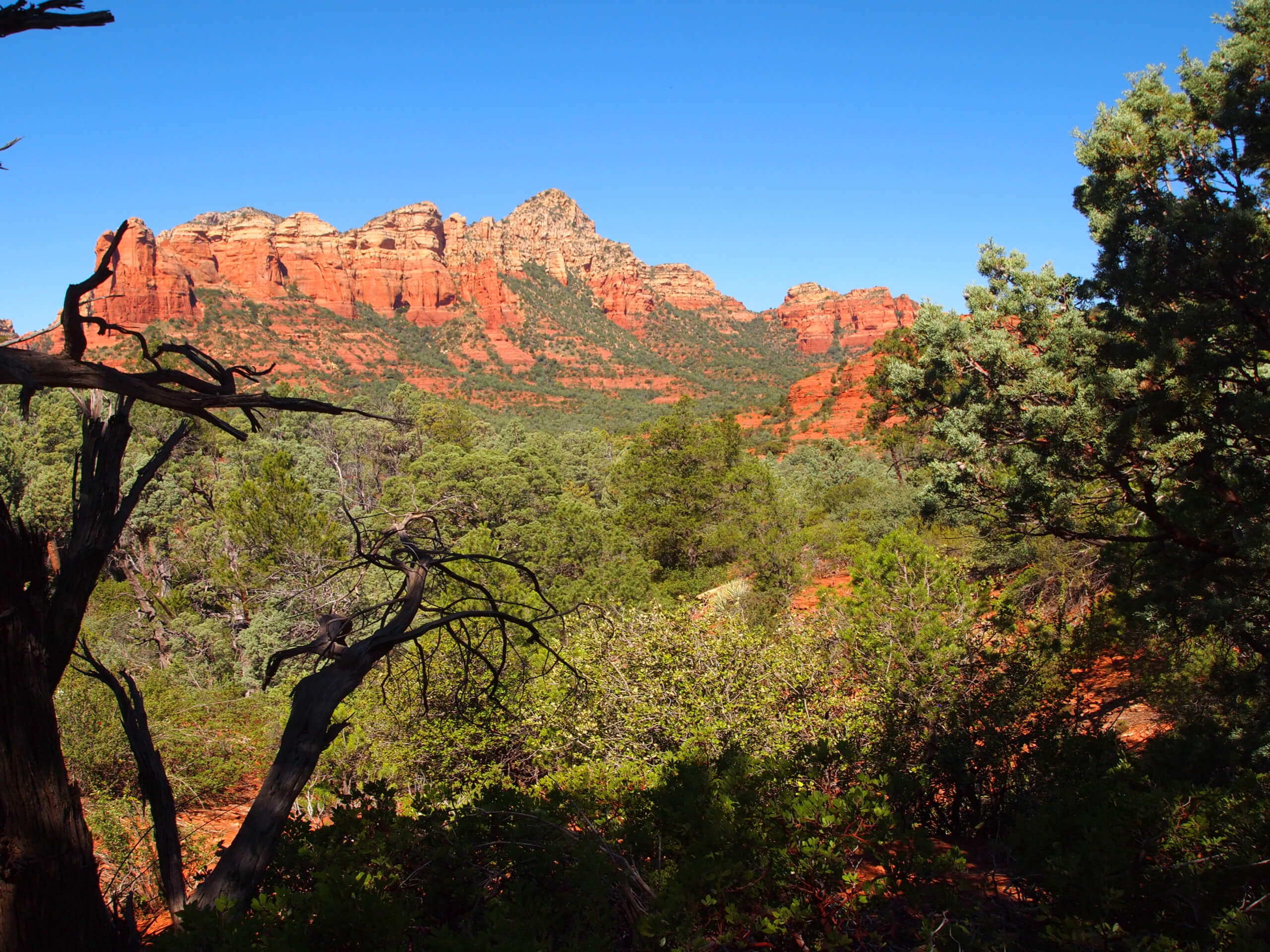 Cibola Pass and Jordan Trail Loop