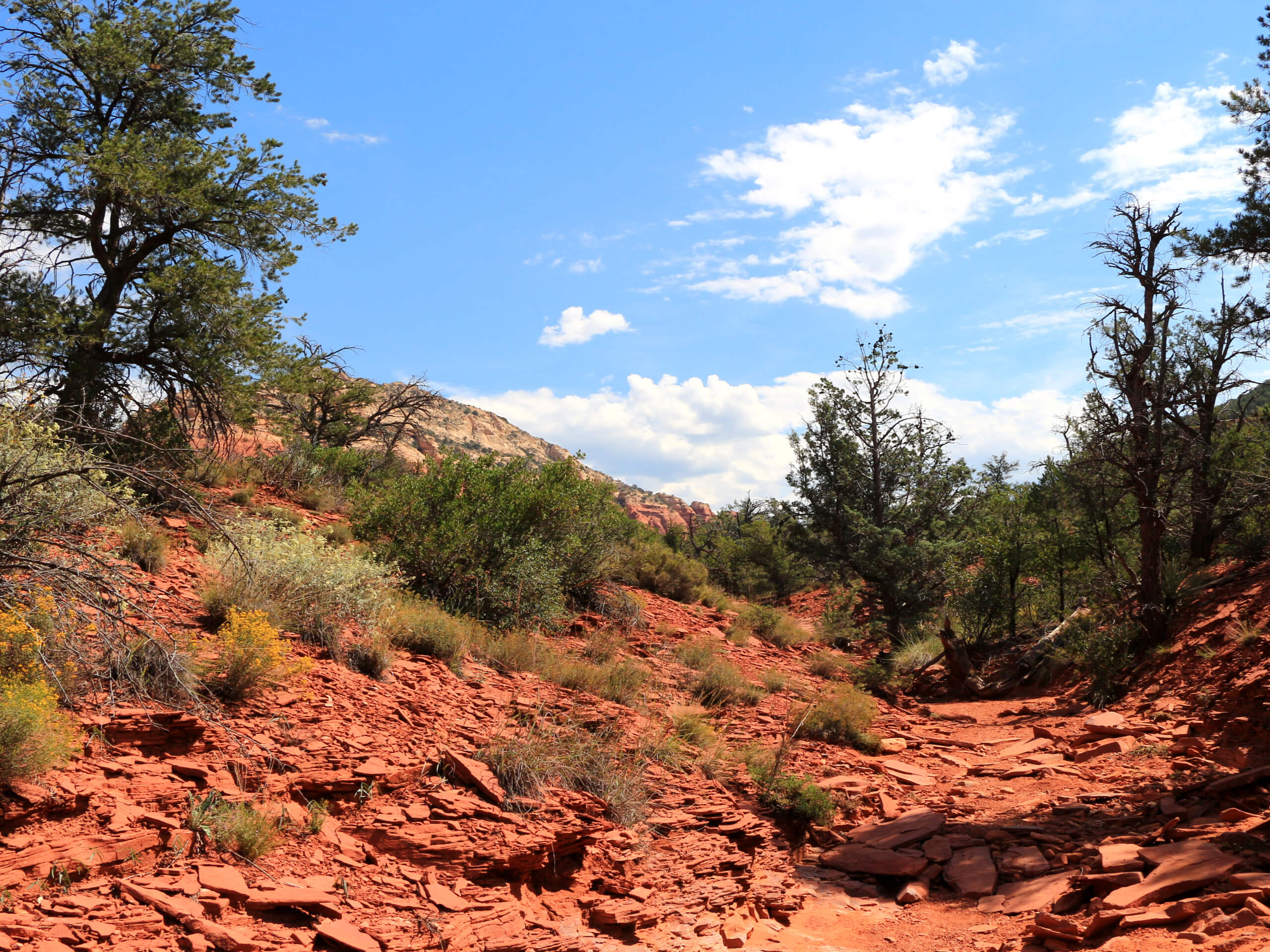 Devil’s Bridge via Chuckwagon Trail