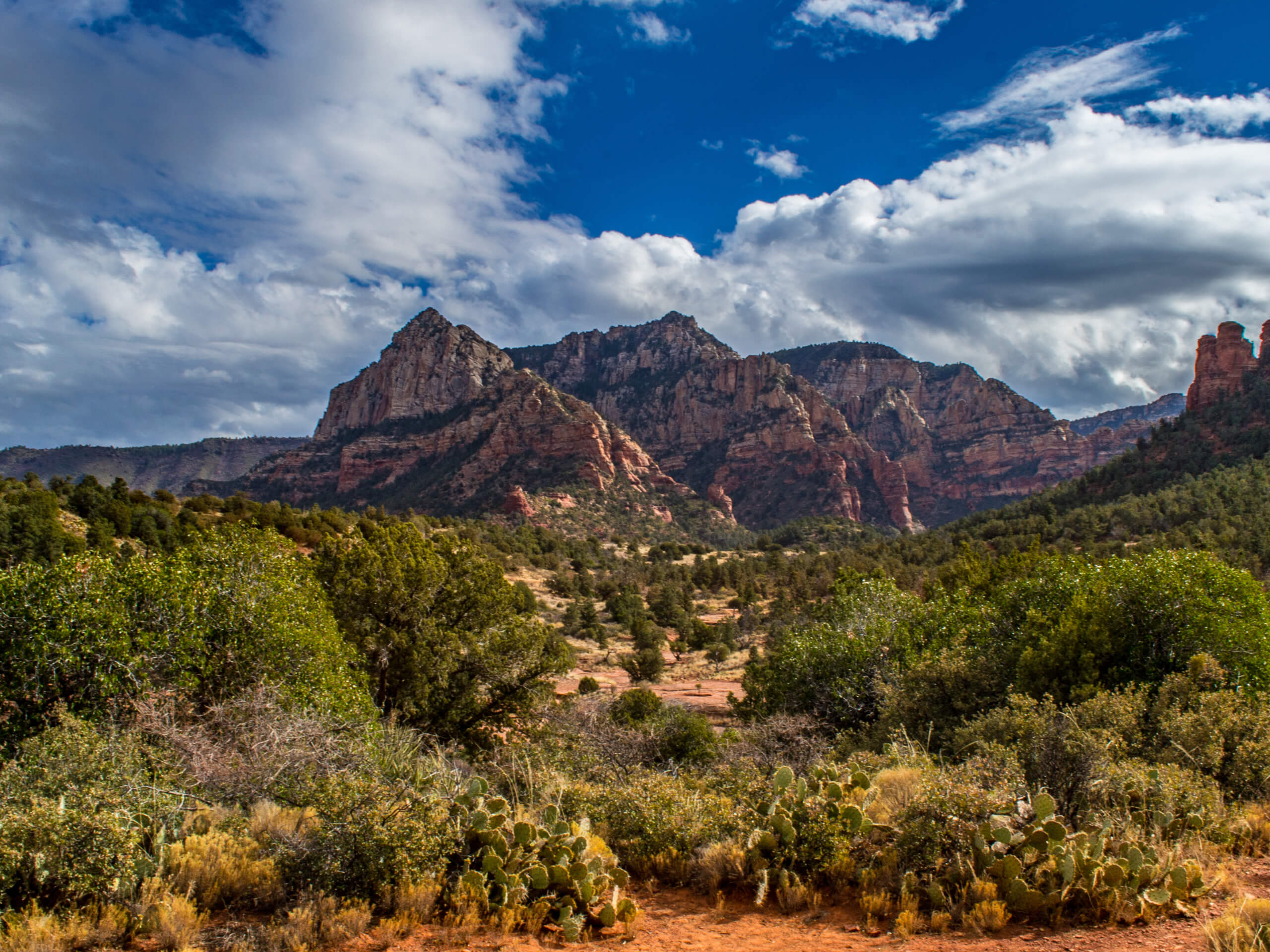 Margs Draw Trail