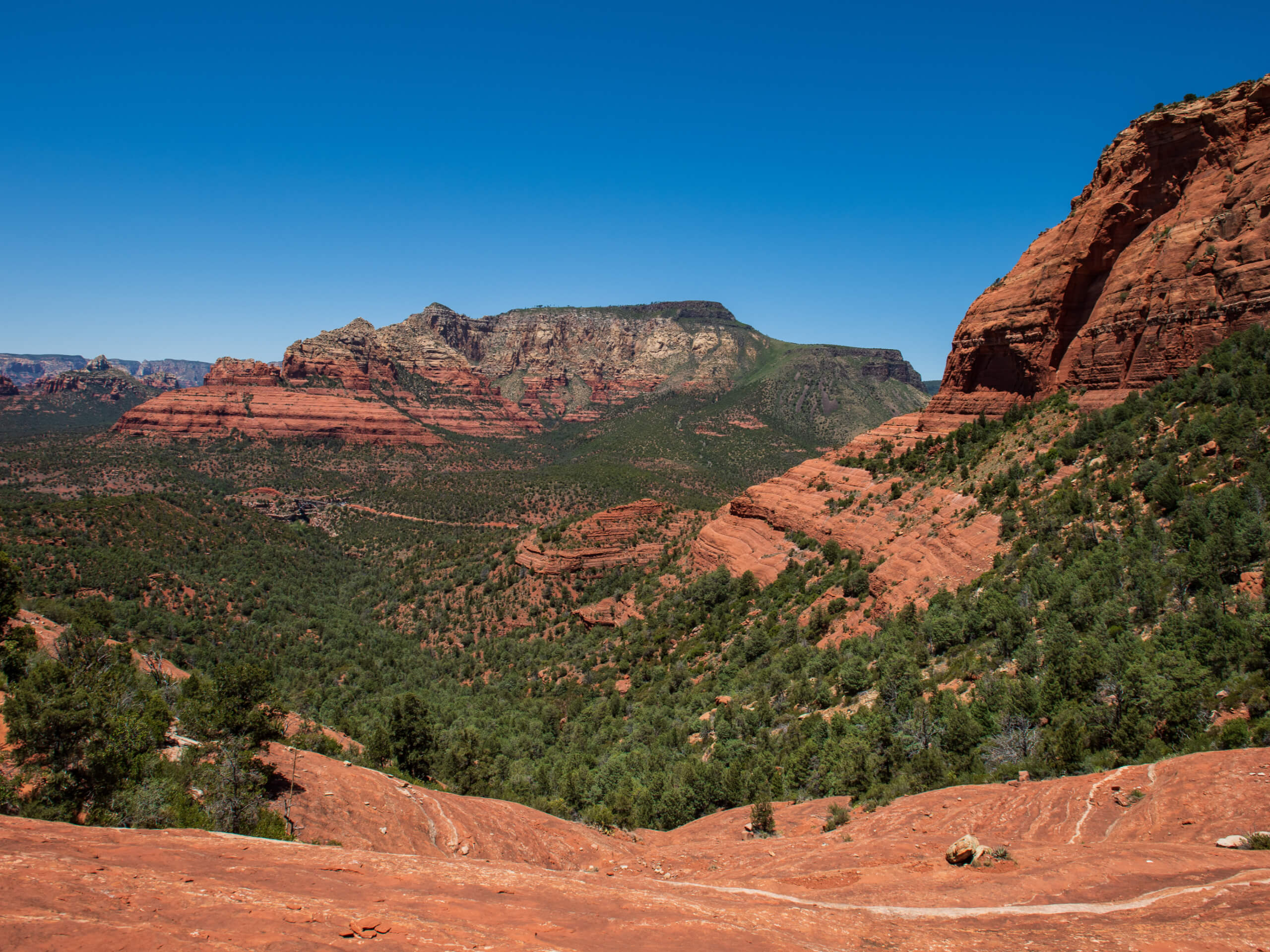 Munds Wagon, Cow Pies, and Hangover Loop