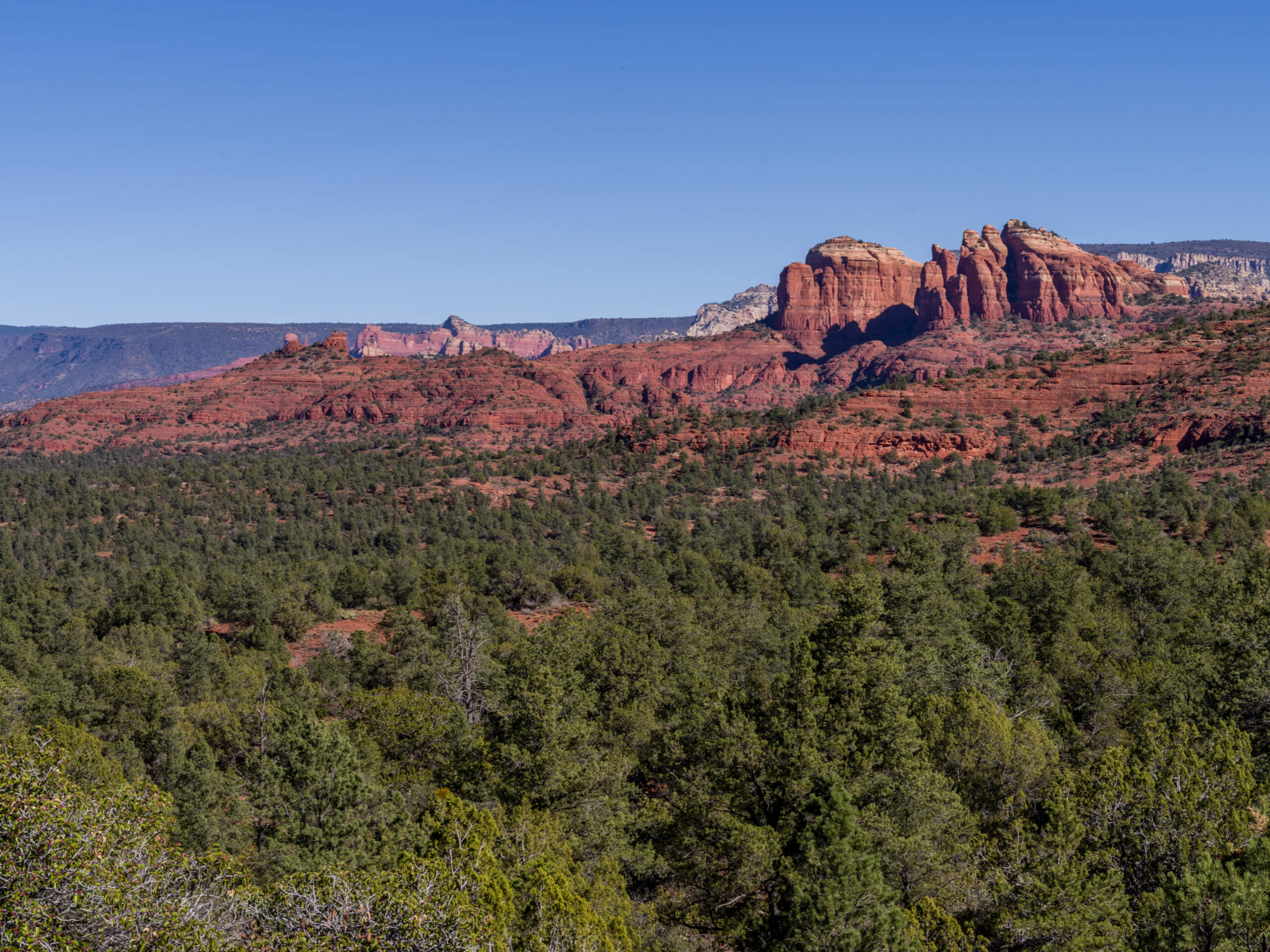 North Wilson Mountain Trail