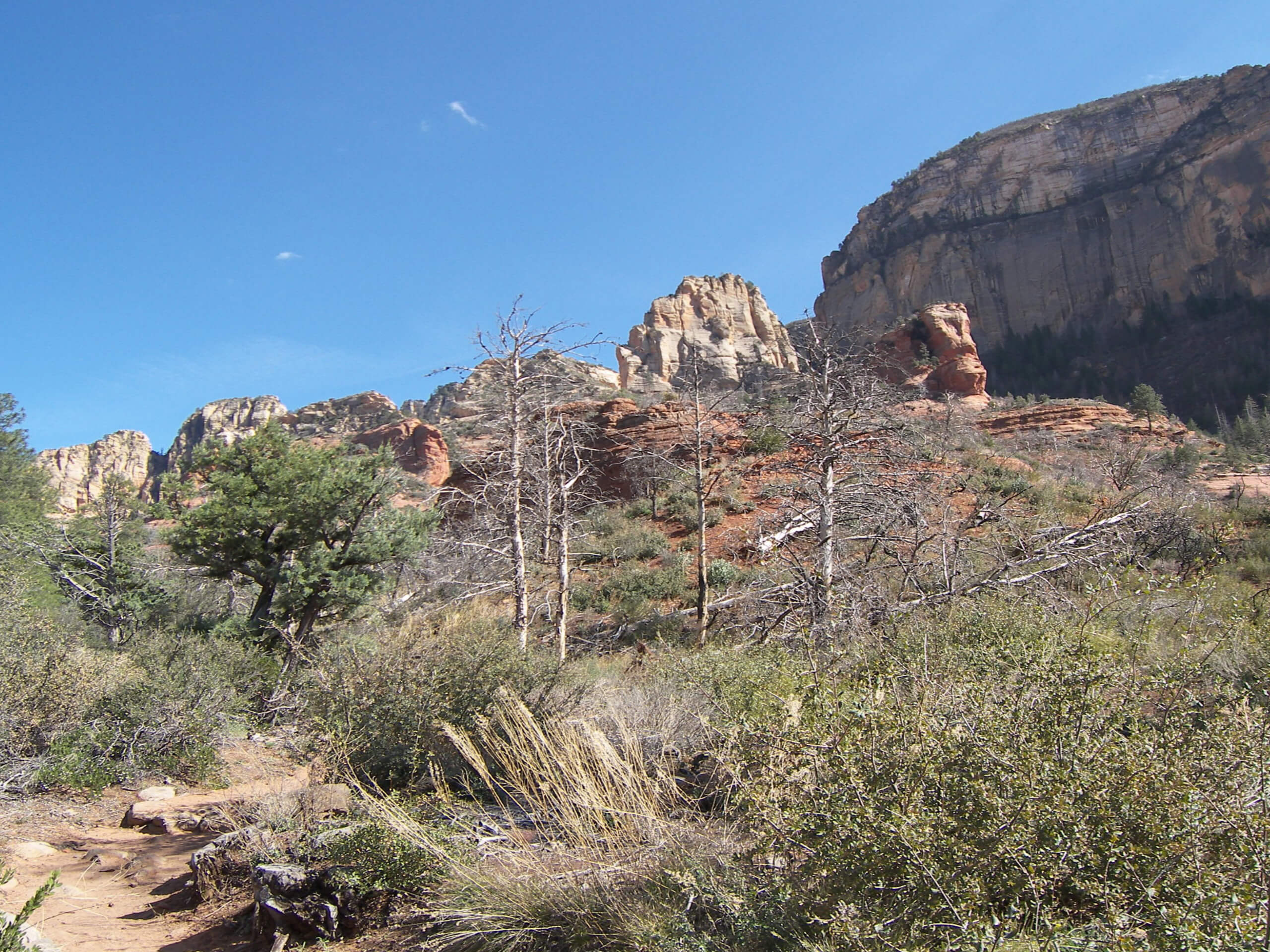 Sterling Pass Trail