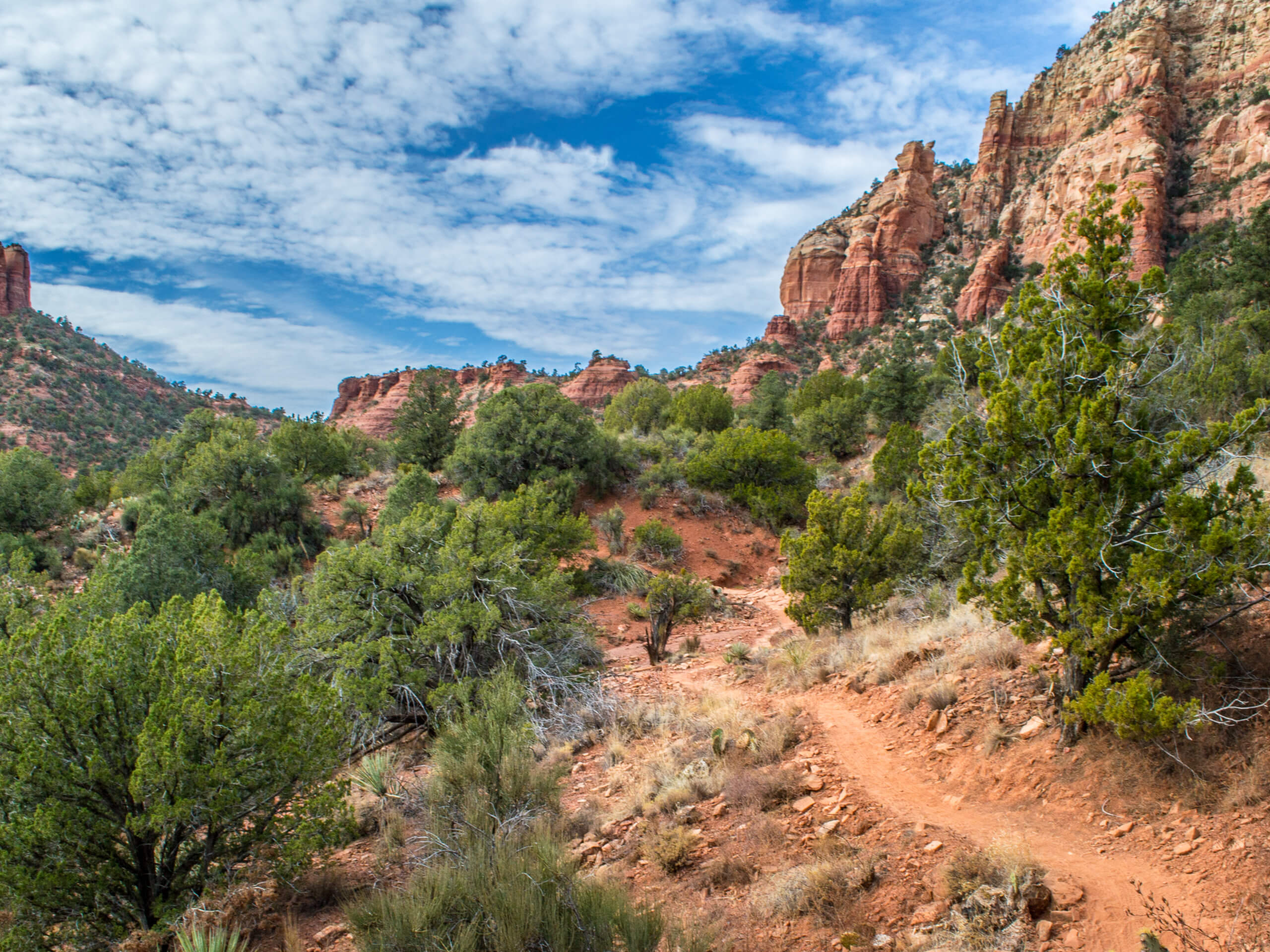 Thunder Mountain to Andante Trail Loop