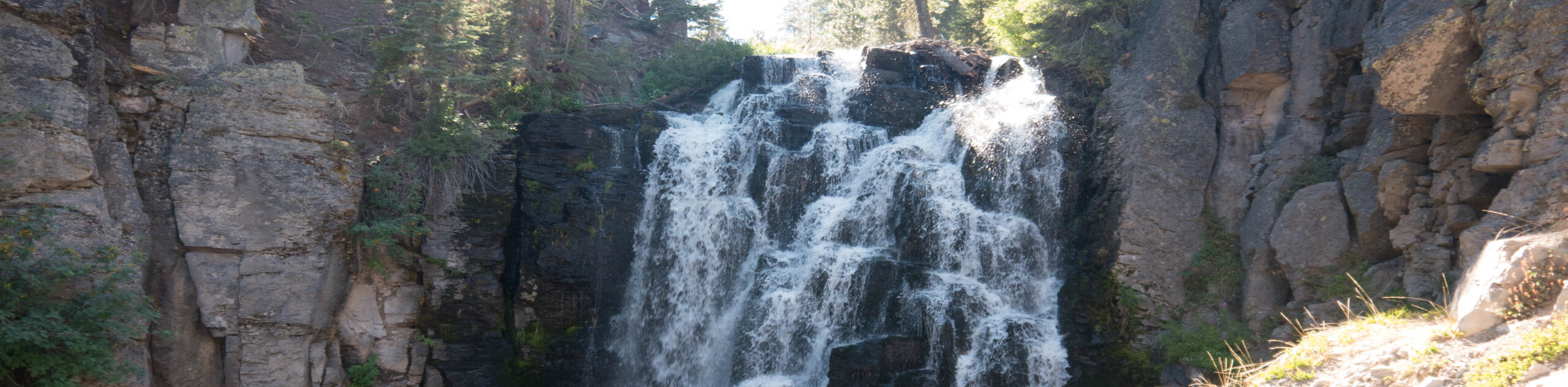 Kings Creek Falls Trail