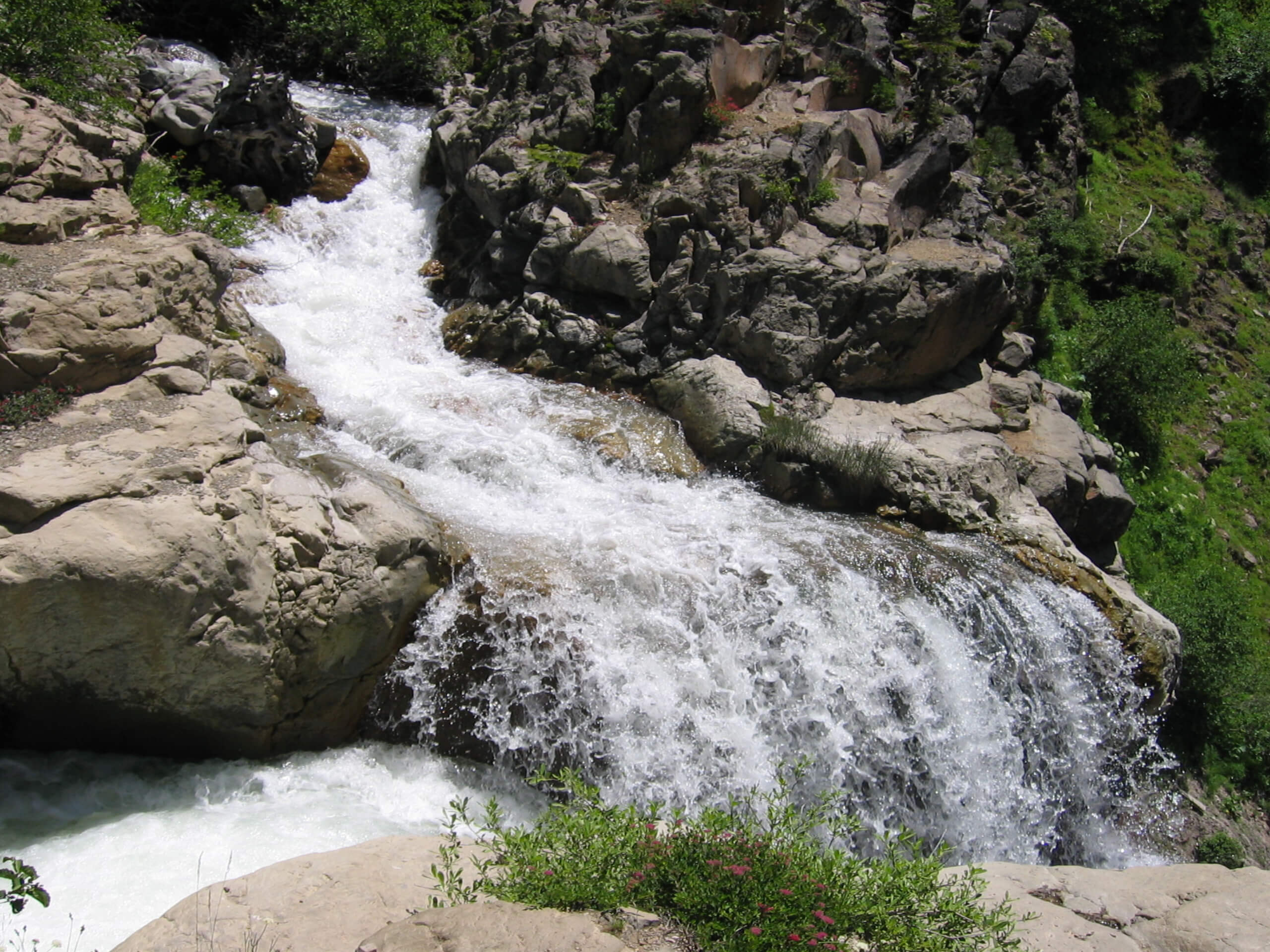 Mill Creek Falls Trail