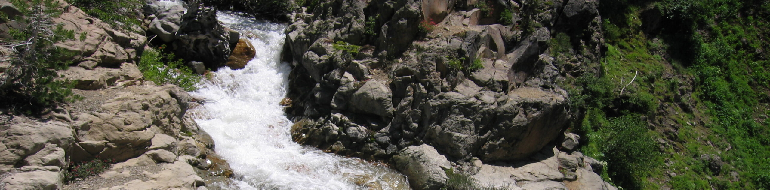 Mill Creek Falls Trail