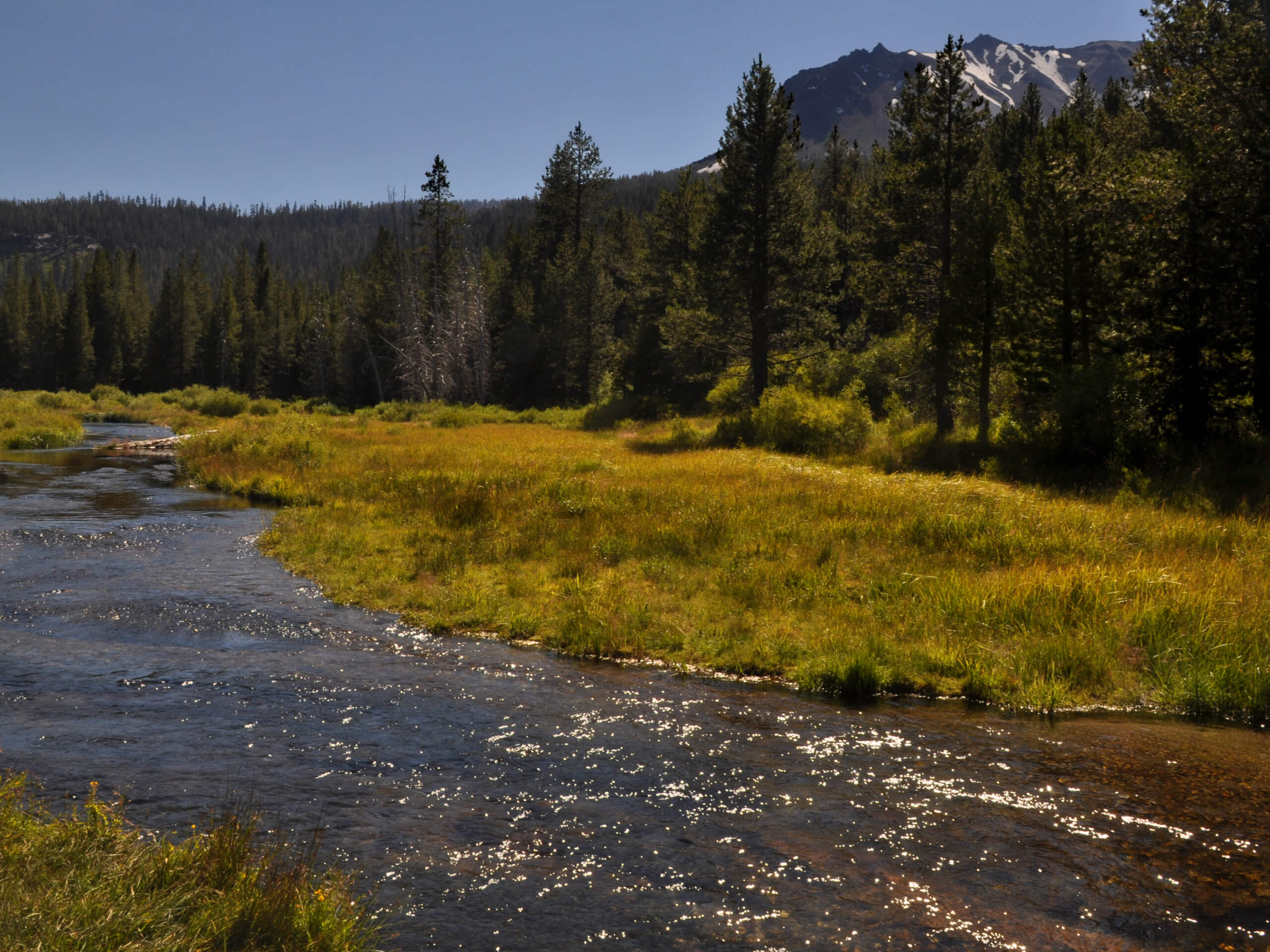 Paradise Meadow Trail