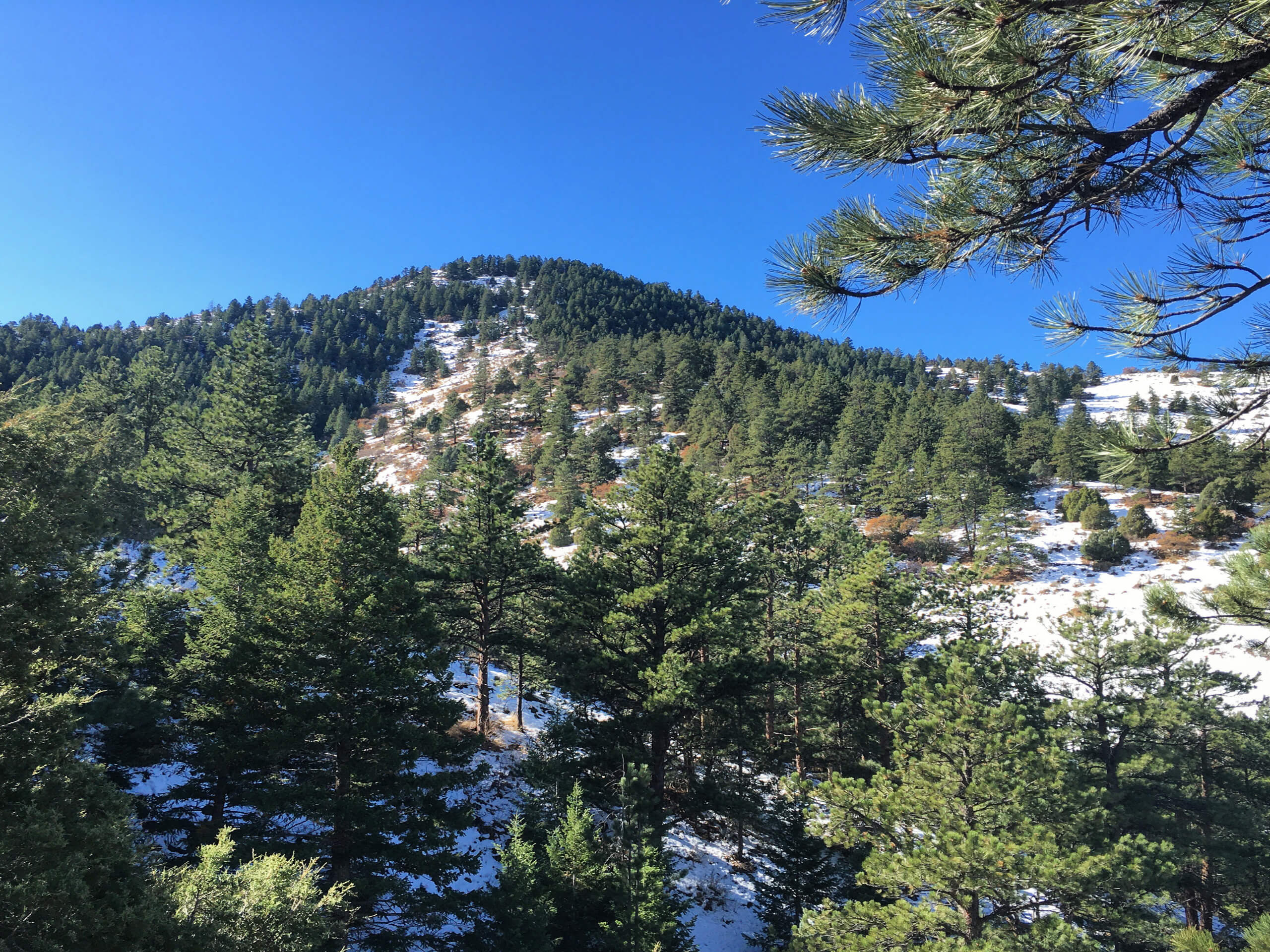 Mount Falcon West Trail